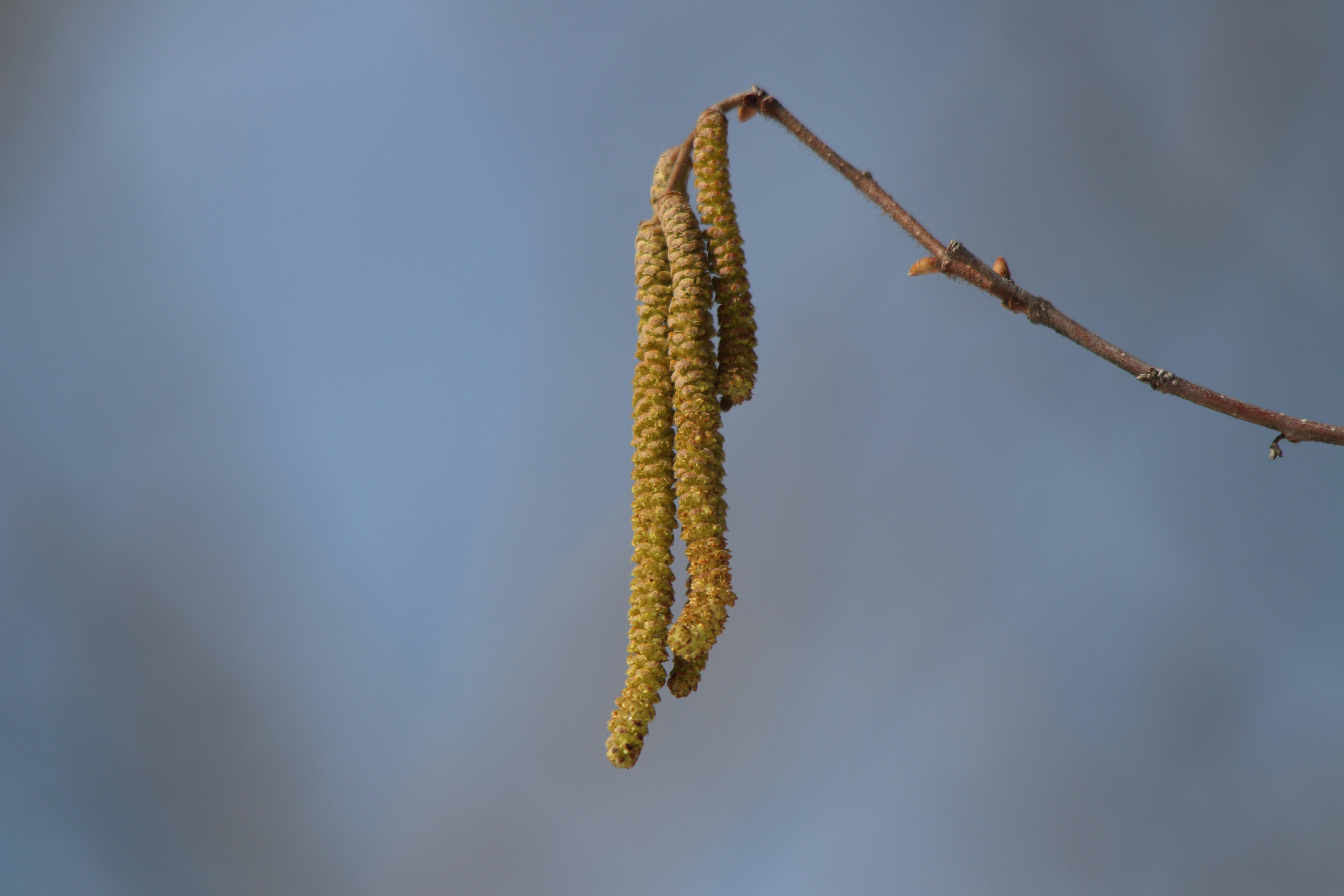 Photo by fotografialuivlad