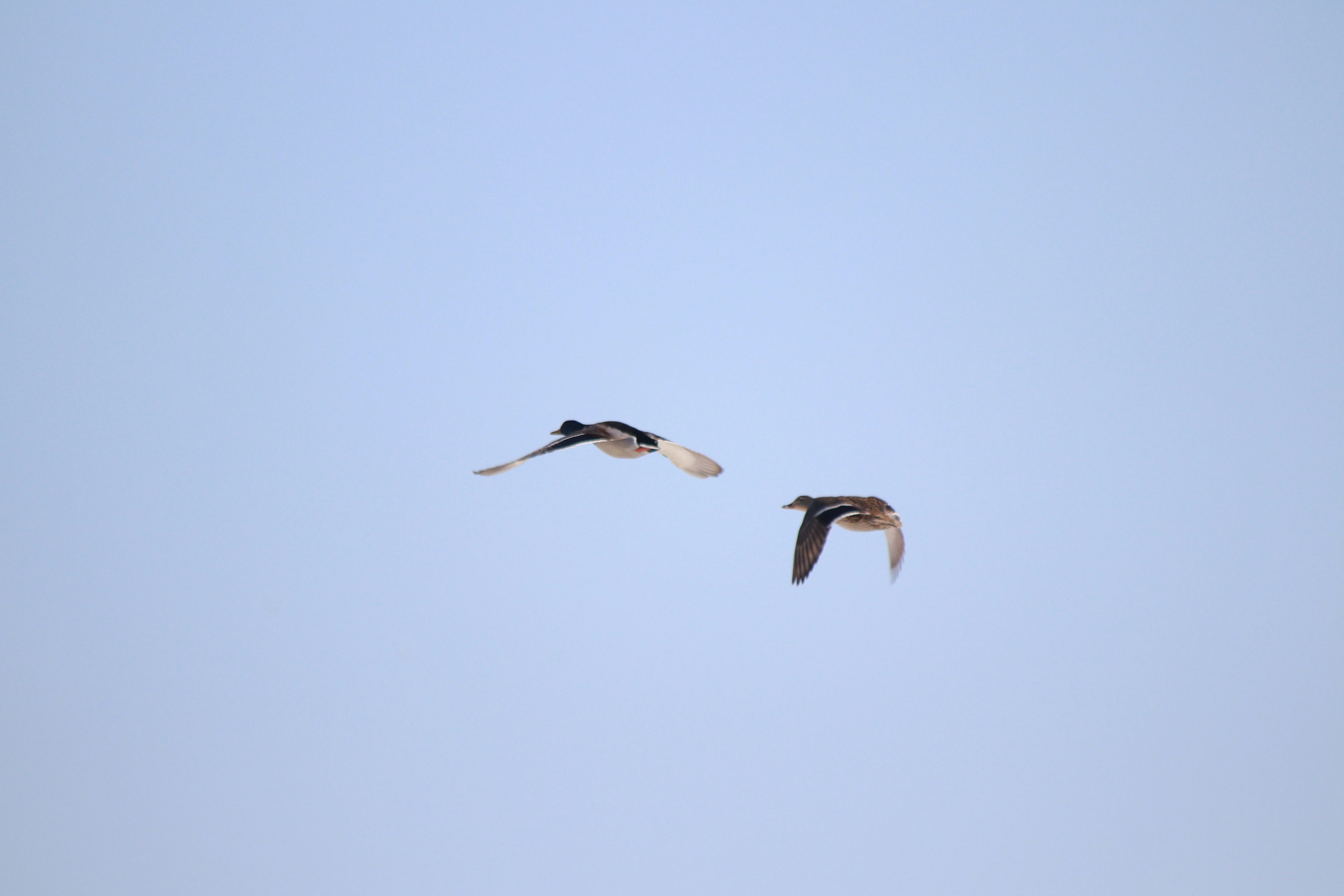 Photo by fotografialuivlad