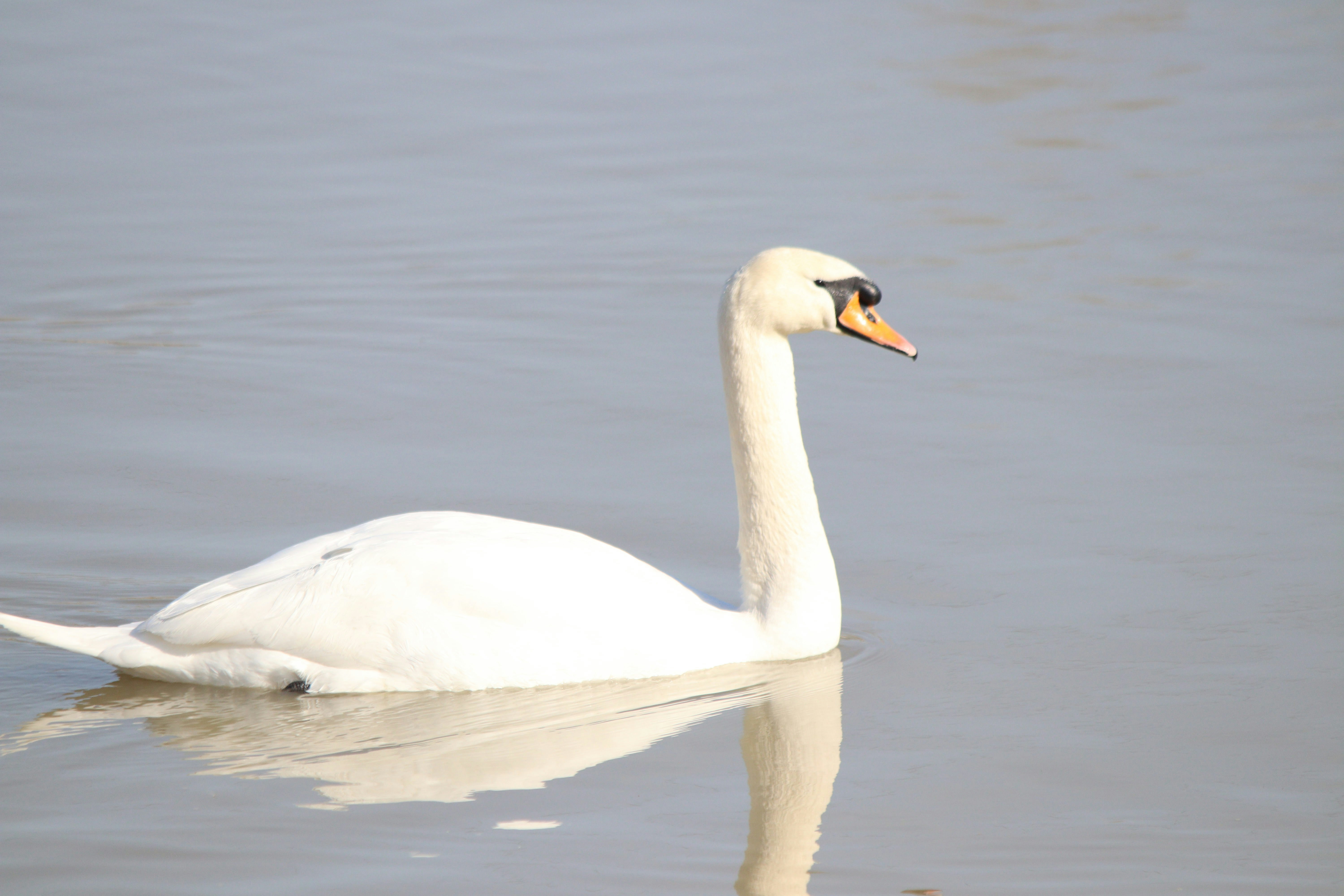 Photo by fotografialuivlad