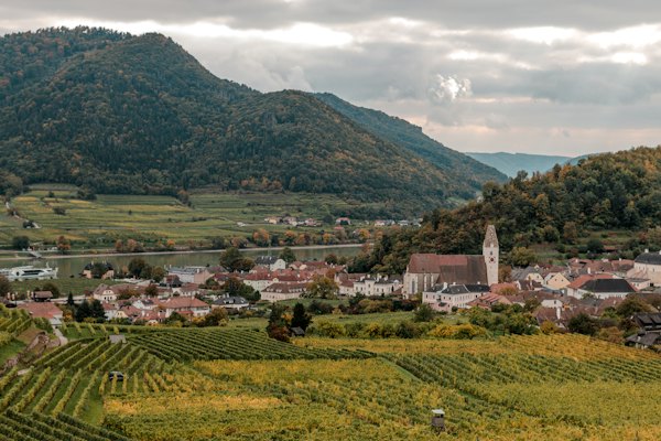 Vineyards and village nestled in a valley — Wachau Valley, Austria