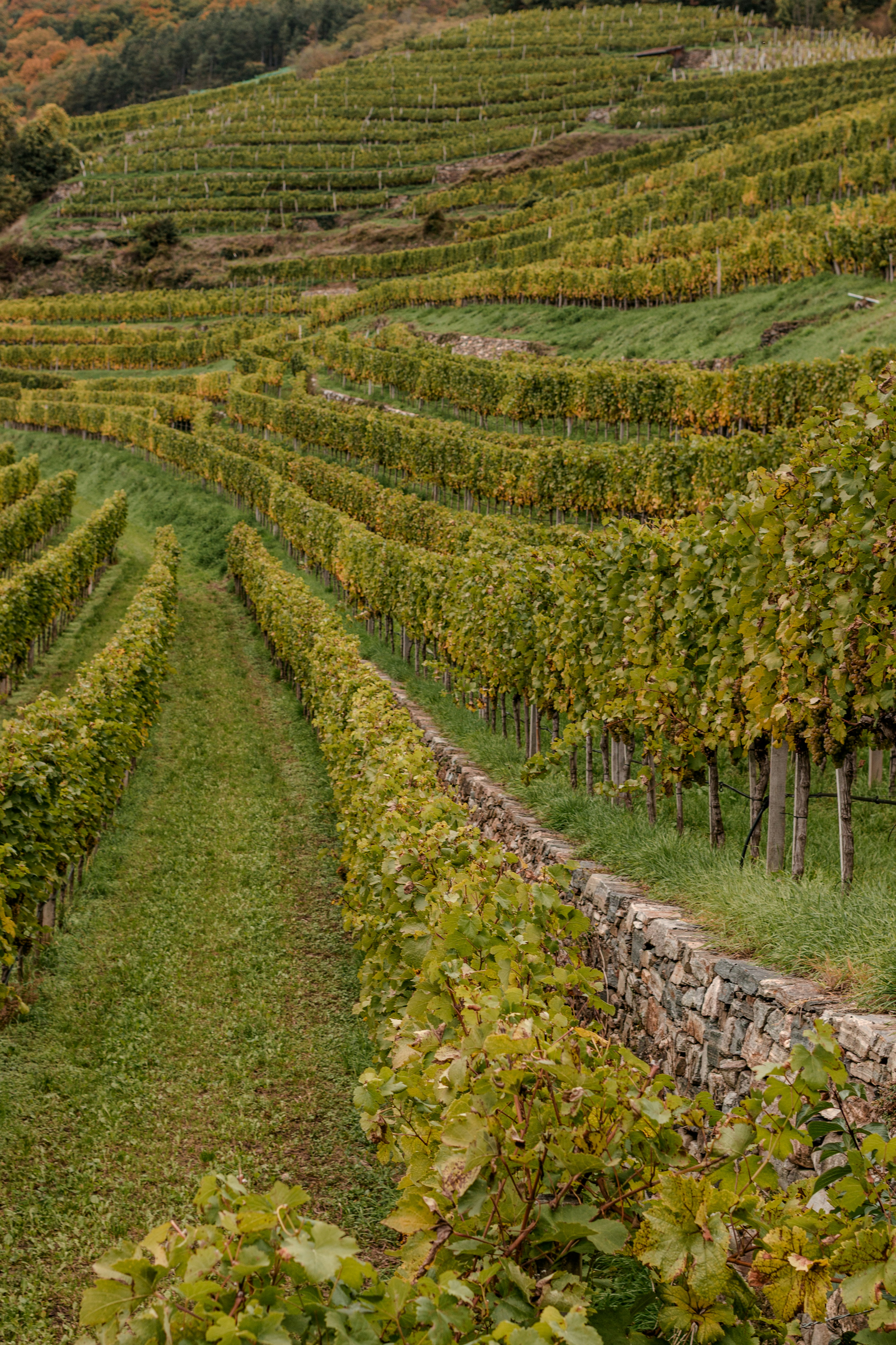 Photo by rvasilovski