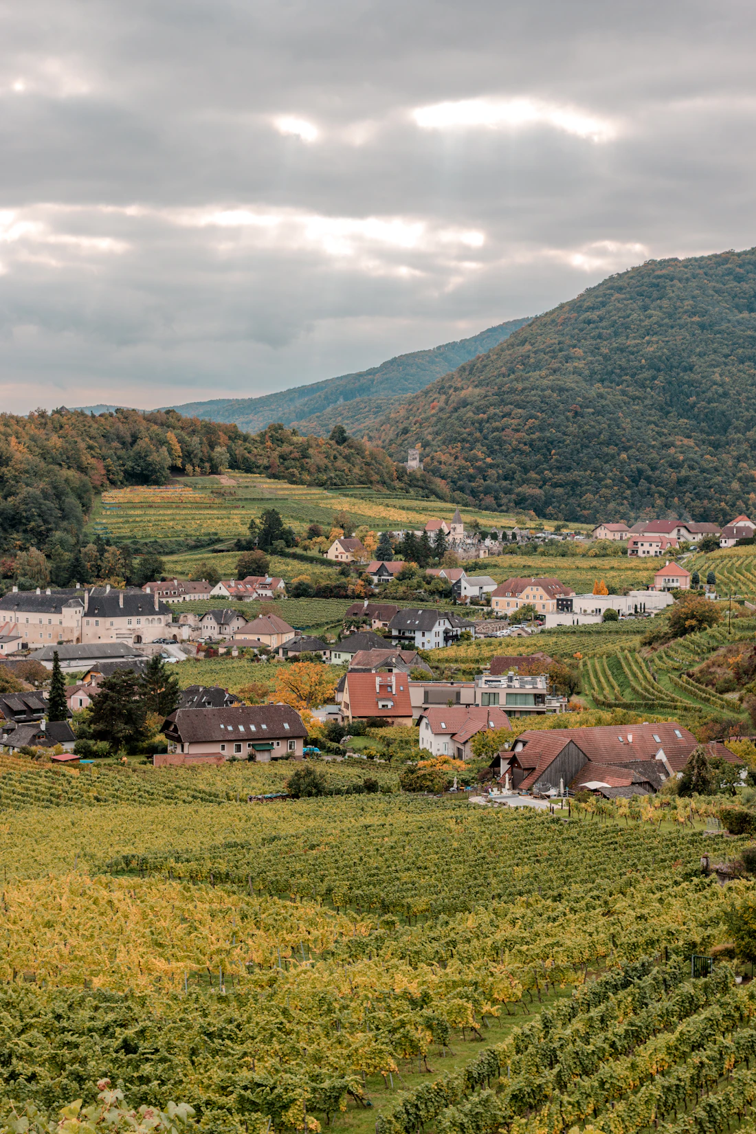 Valle della Wachau
