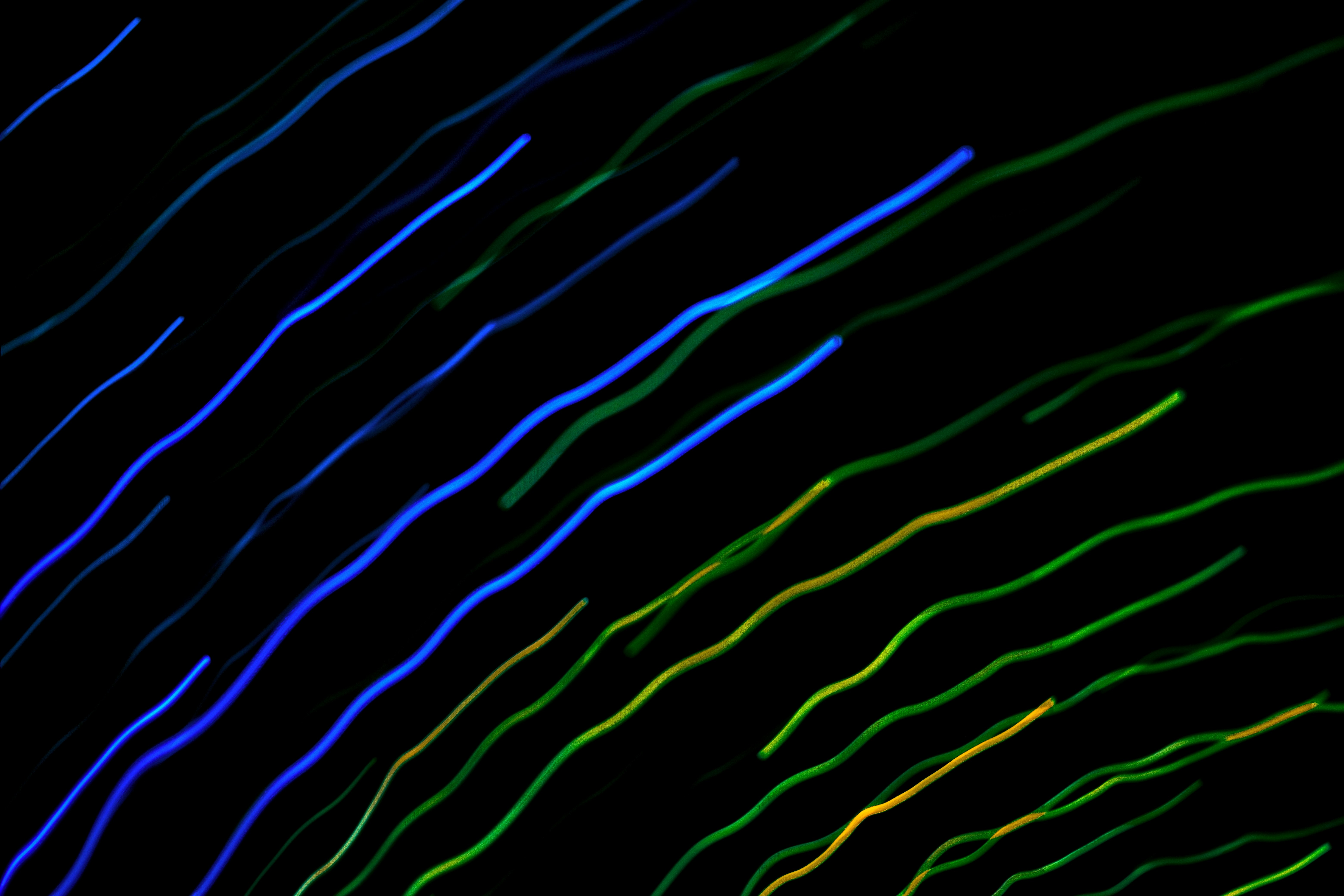 Photo by robert_clark