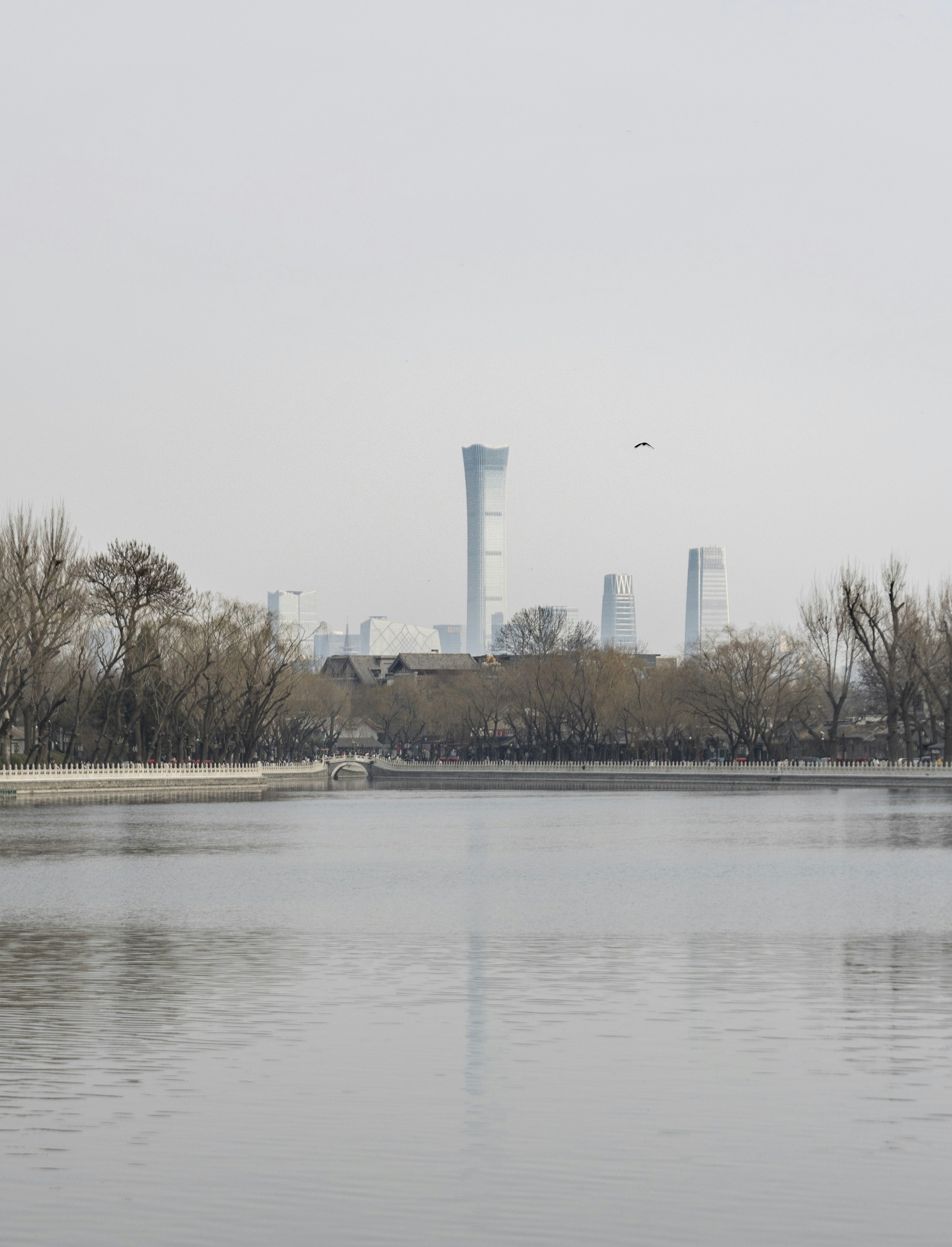 Photo by wu_hua_jiang