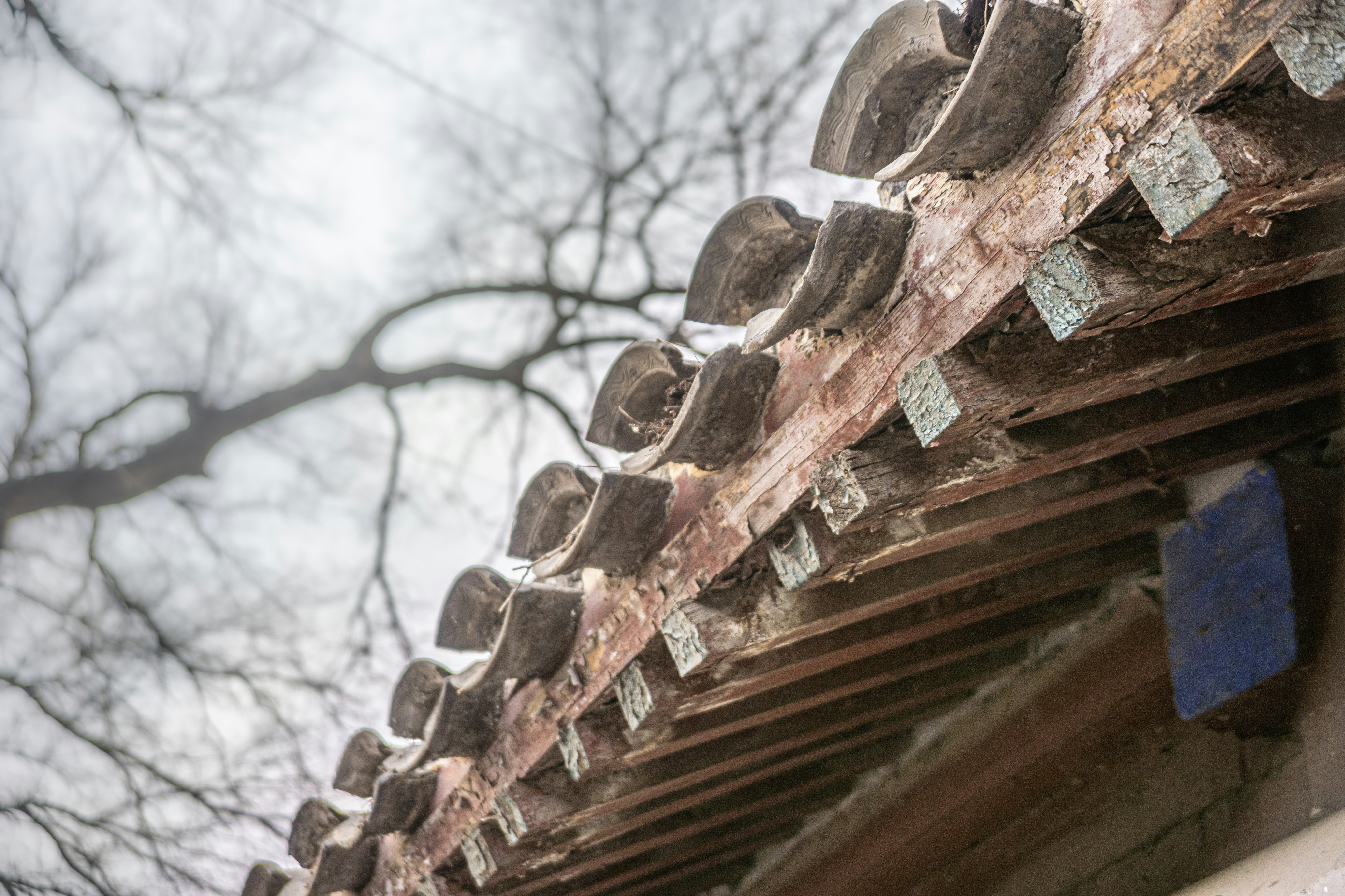 Photo by wu_hua_jiang