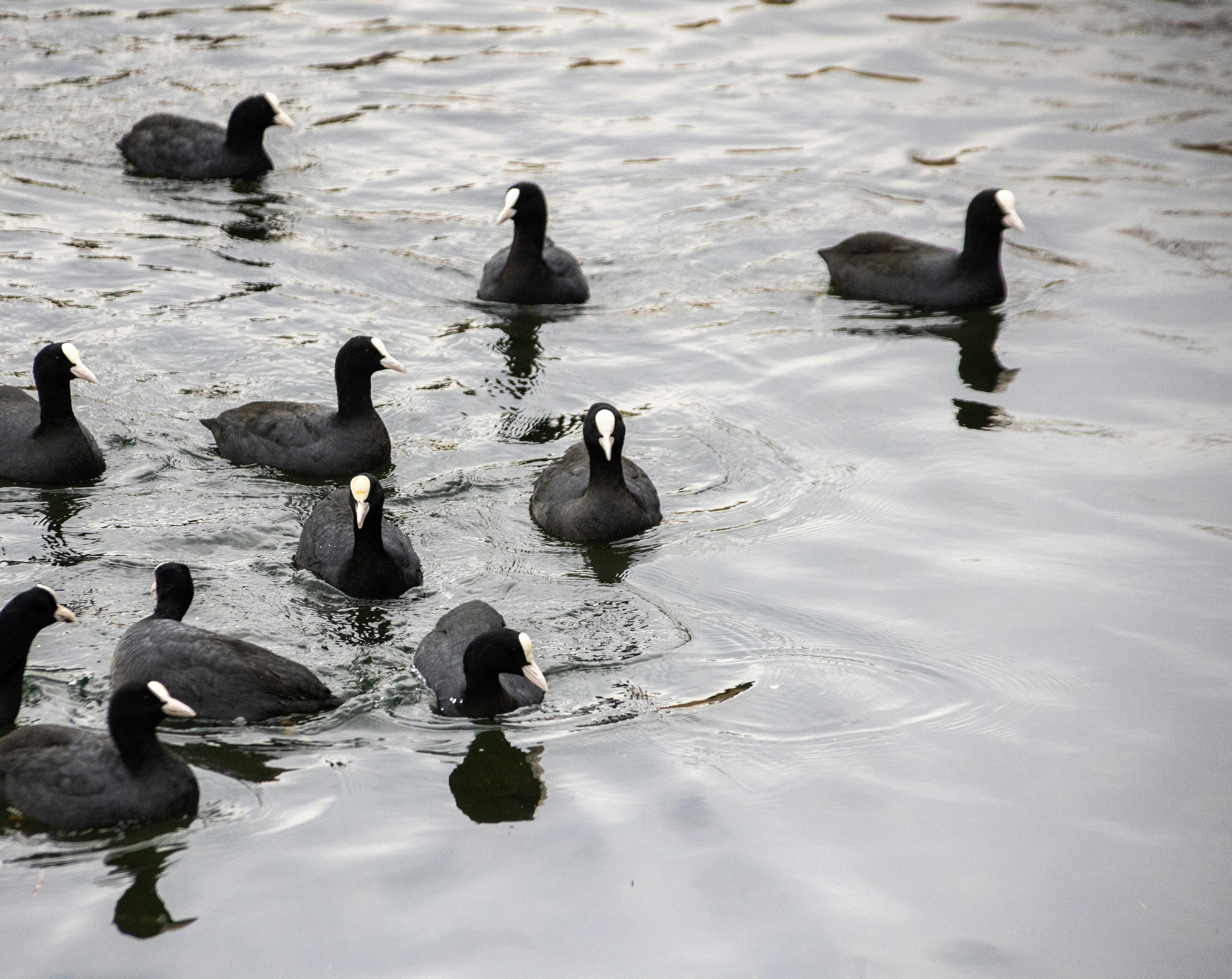 Photo by wu_hua_jiang