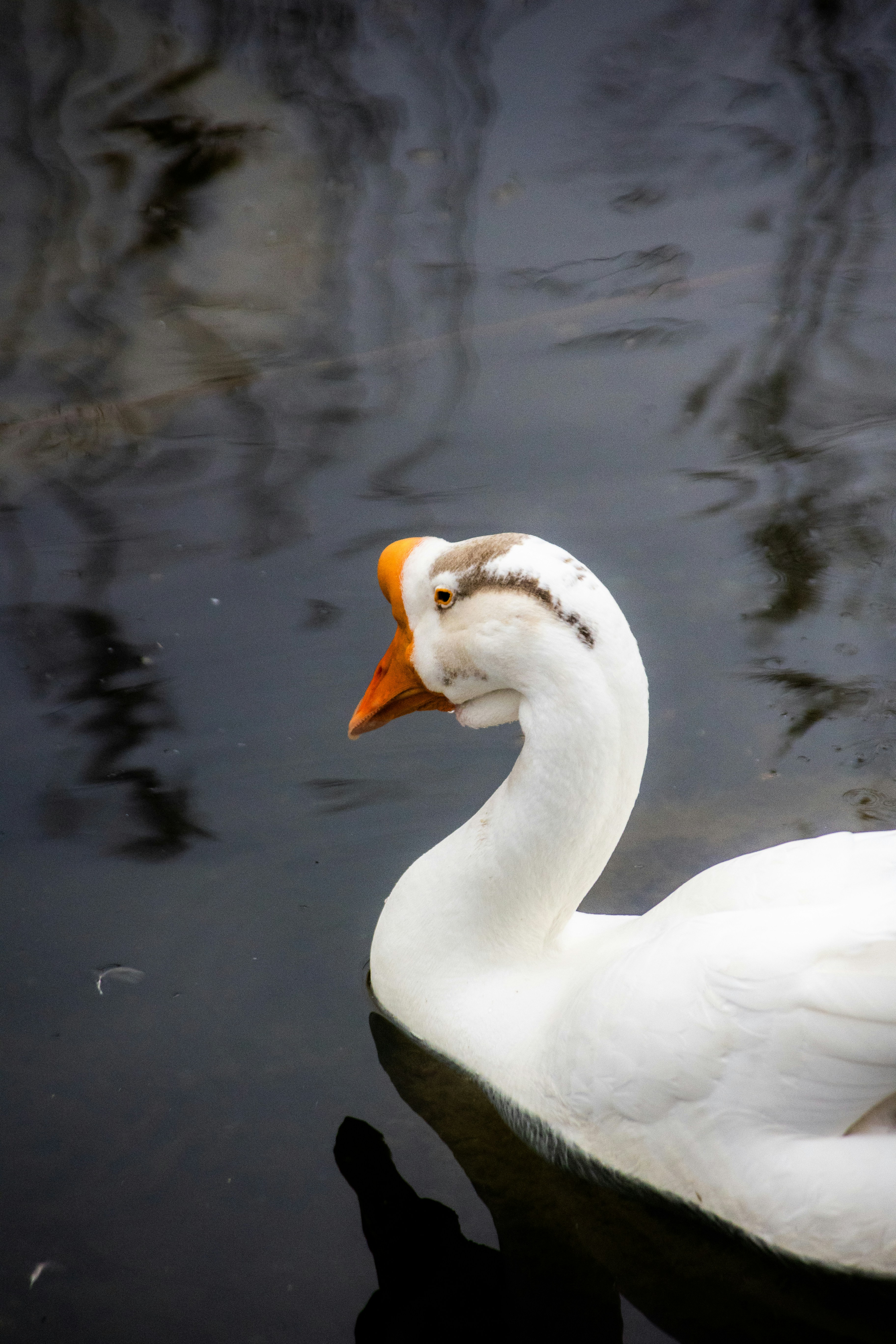 Photo by wu_hua_jiang