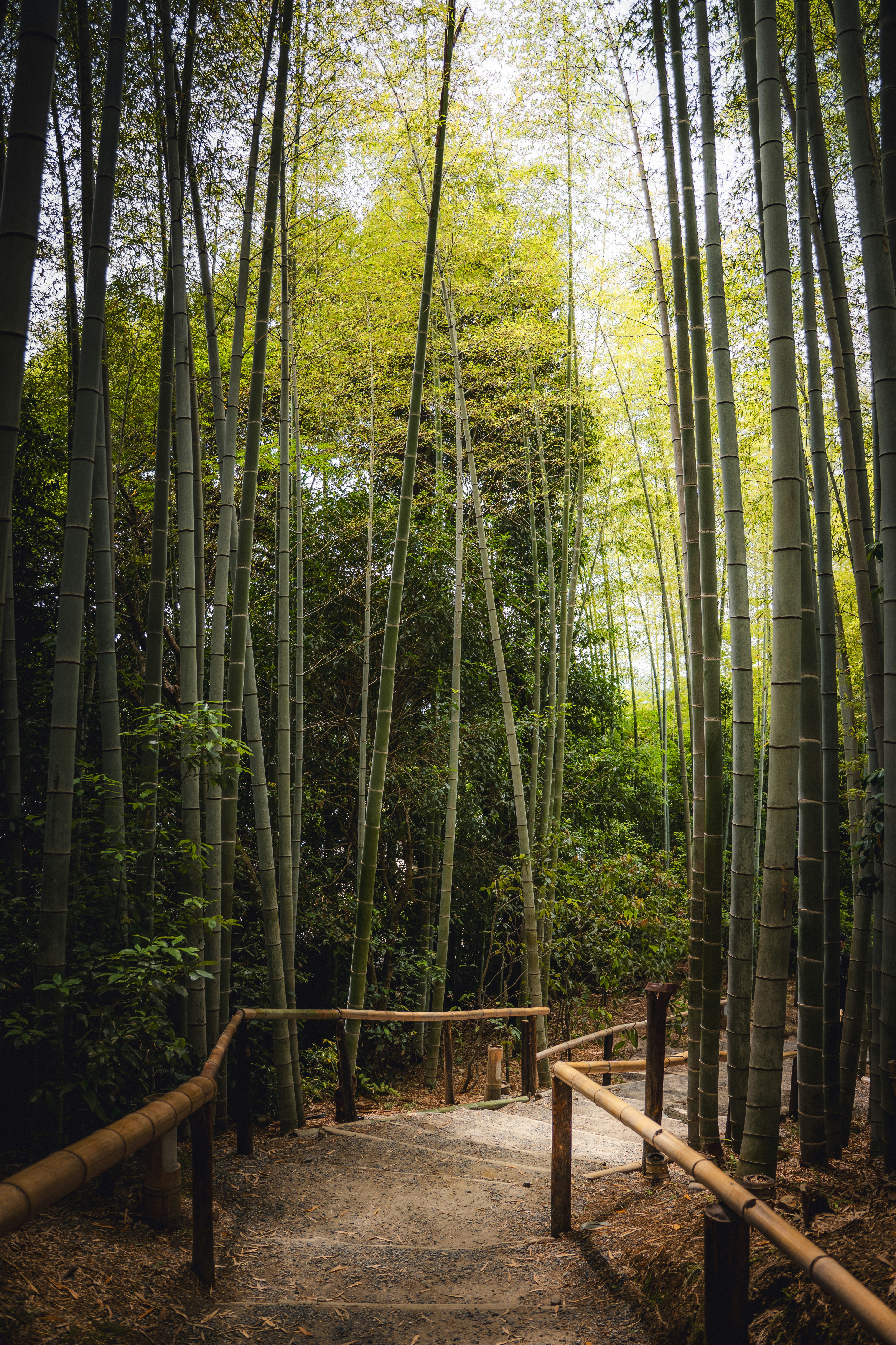 Photo by electerious