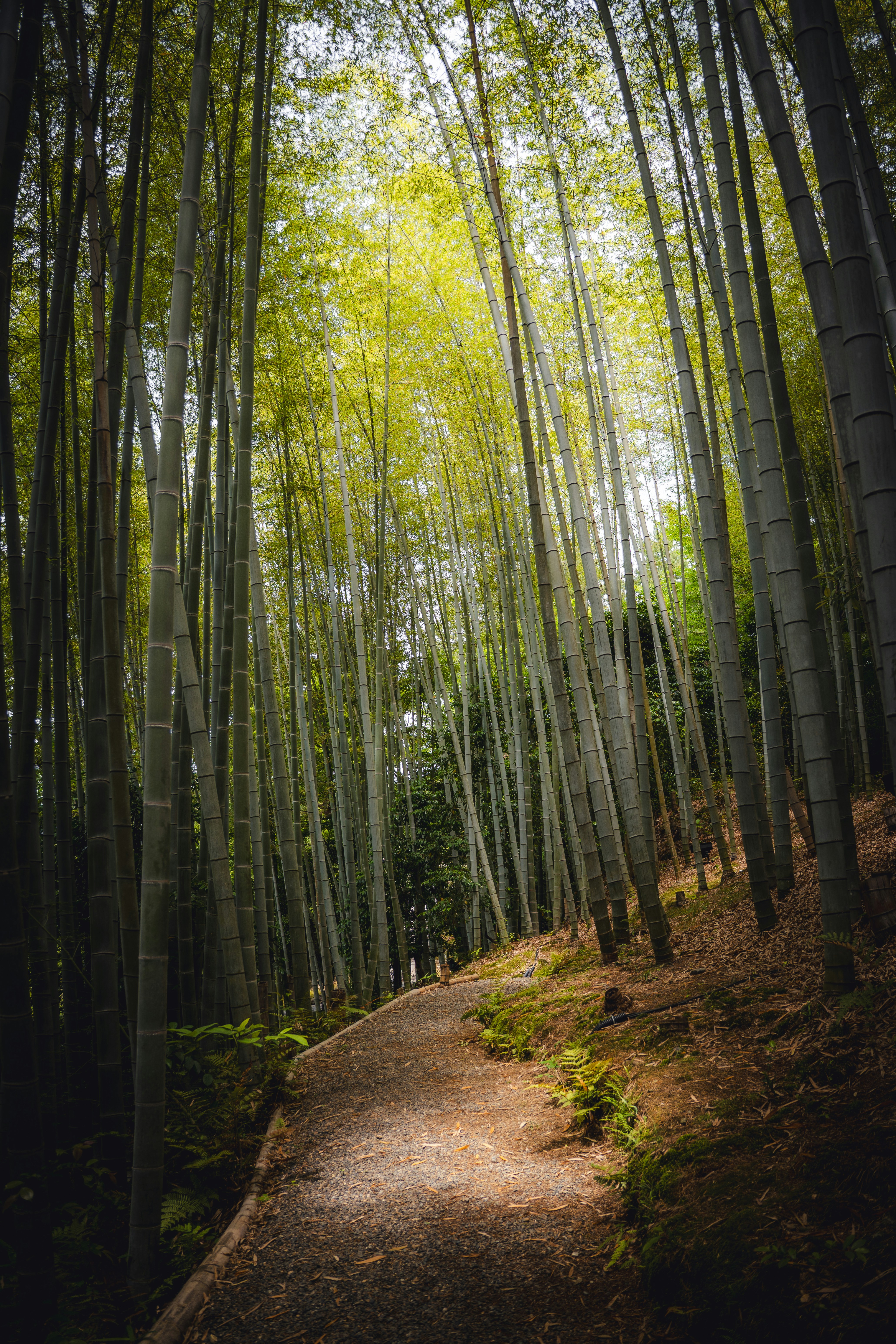 Photo by electerious