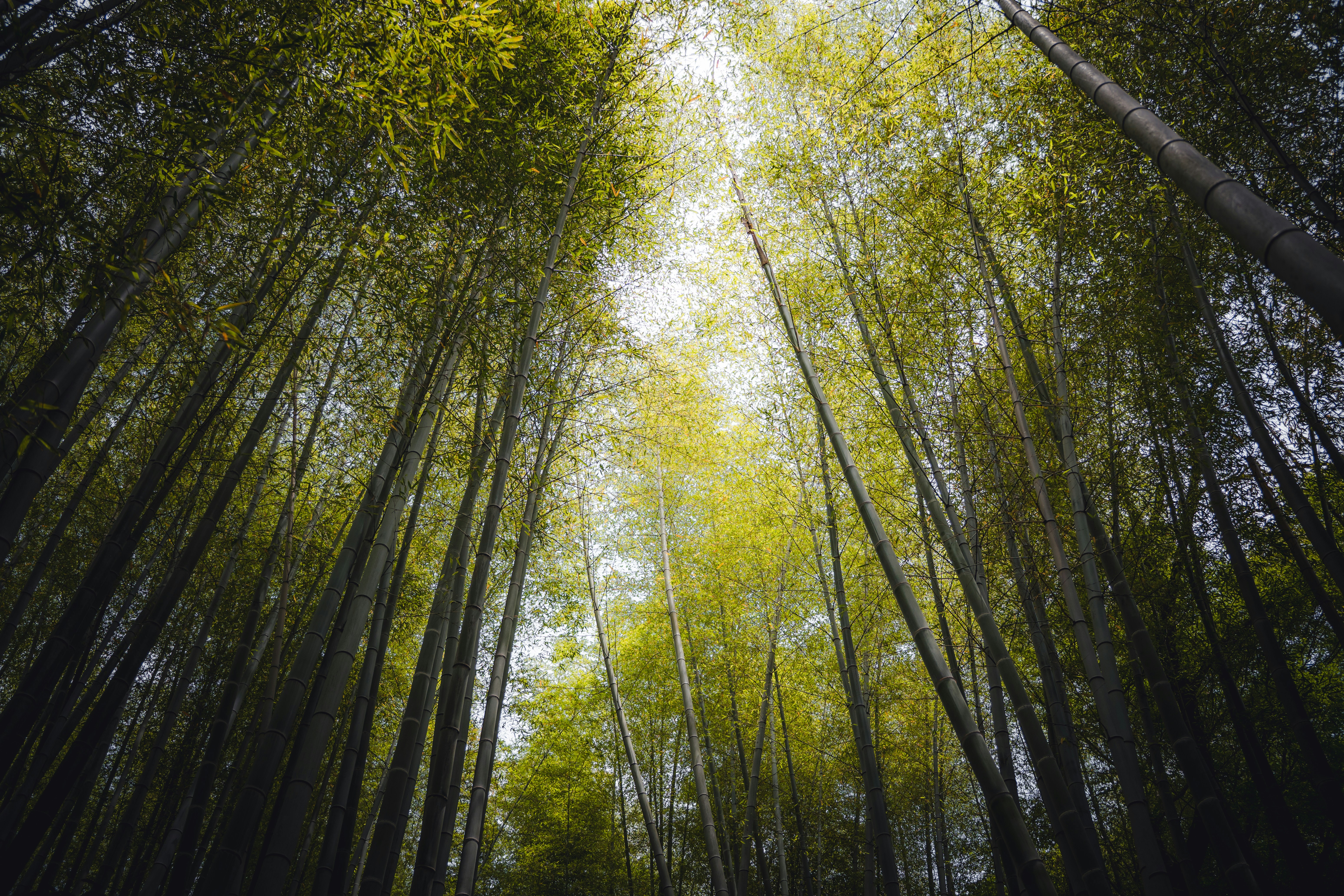 Photo by electerious