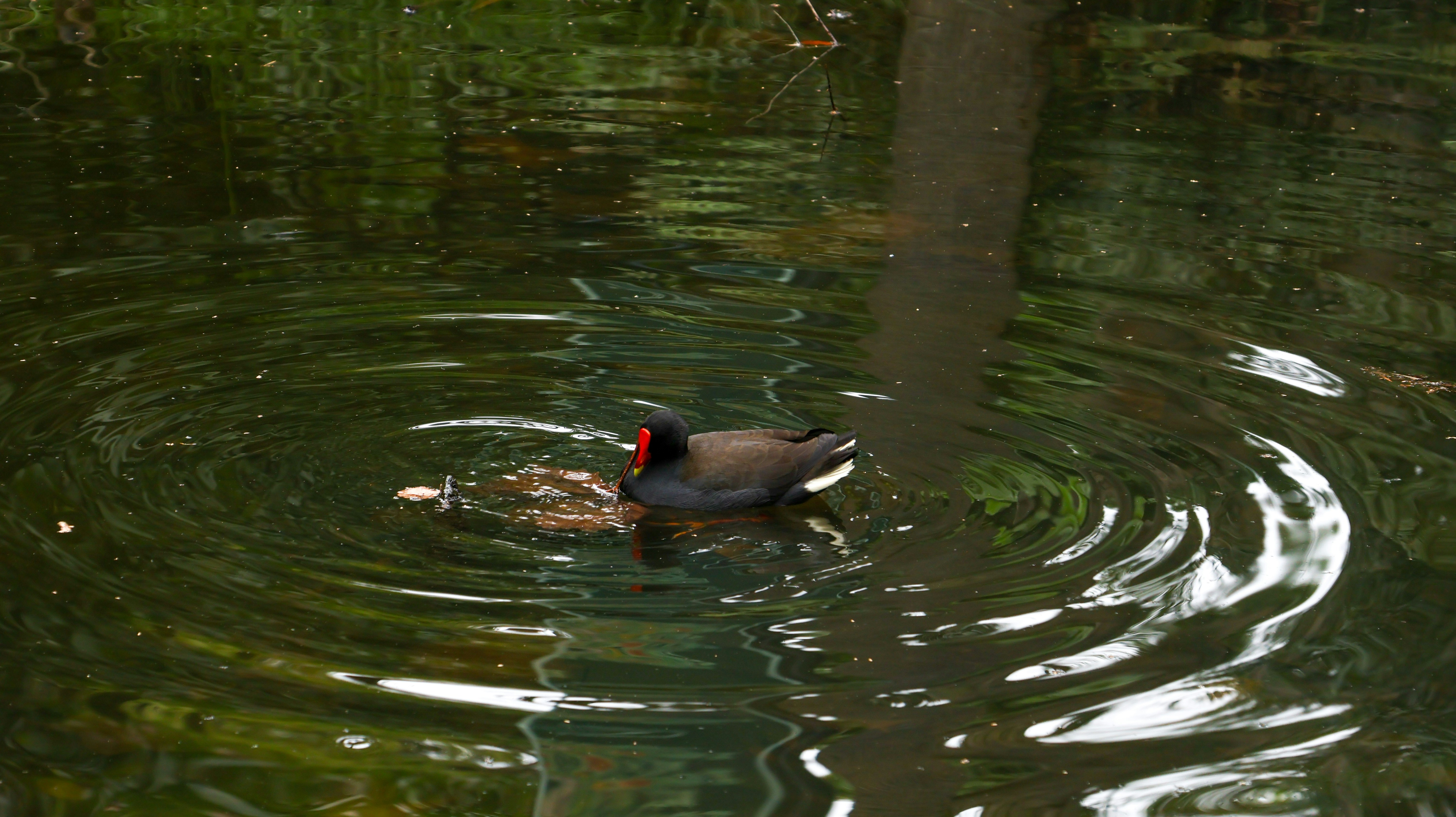 Photo by blakestaniland