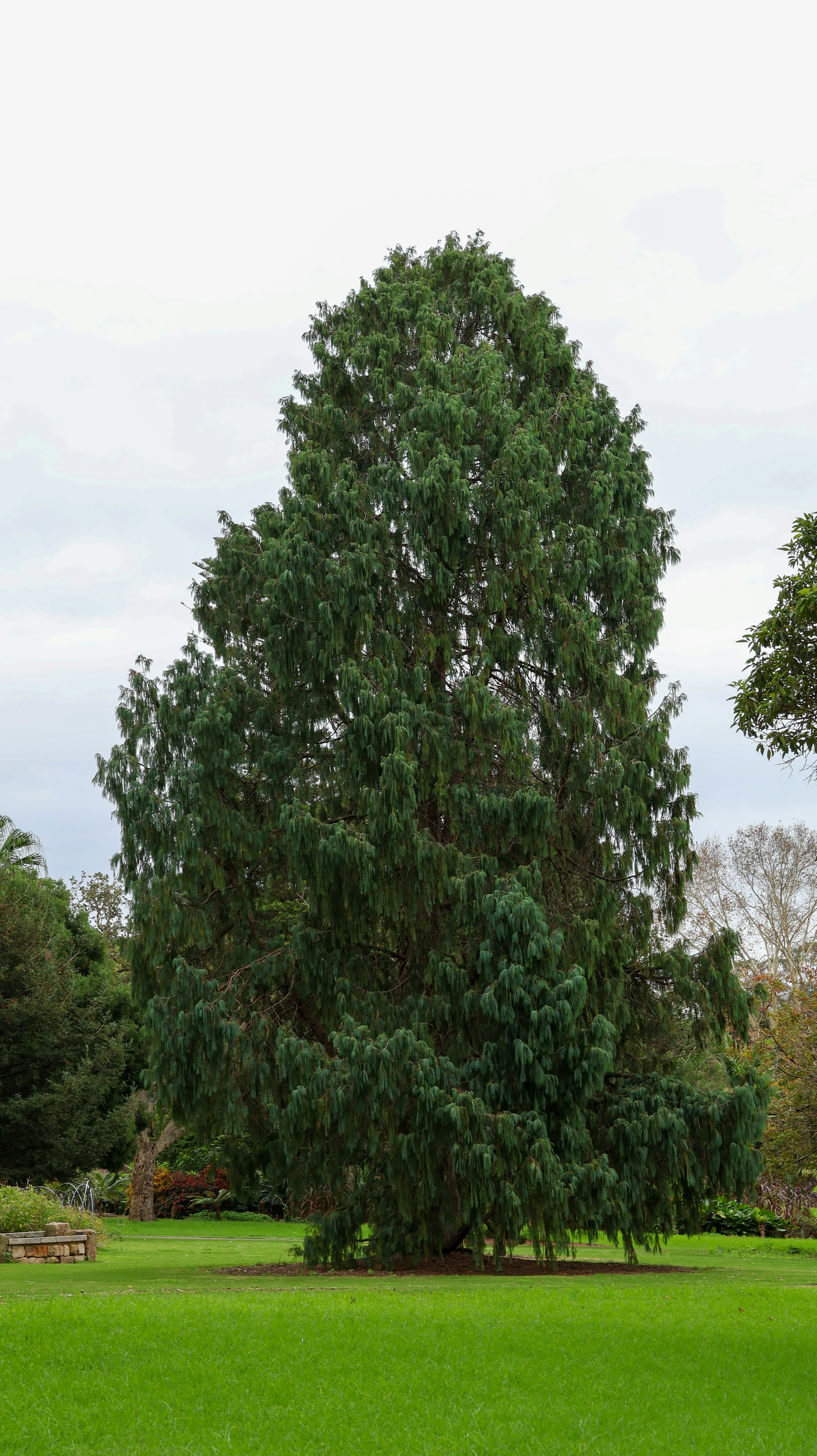 Photo by blakestaniland