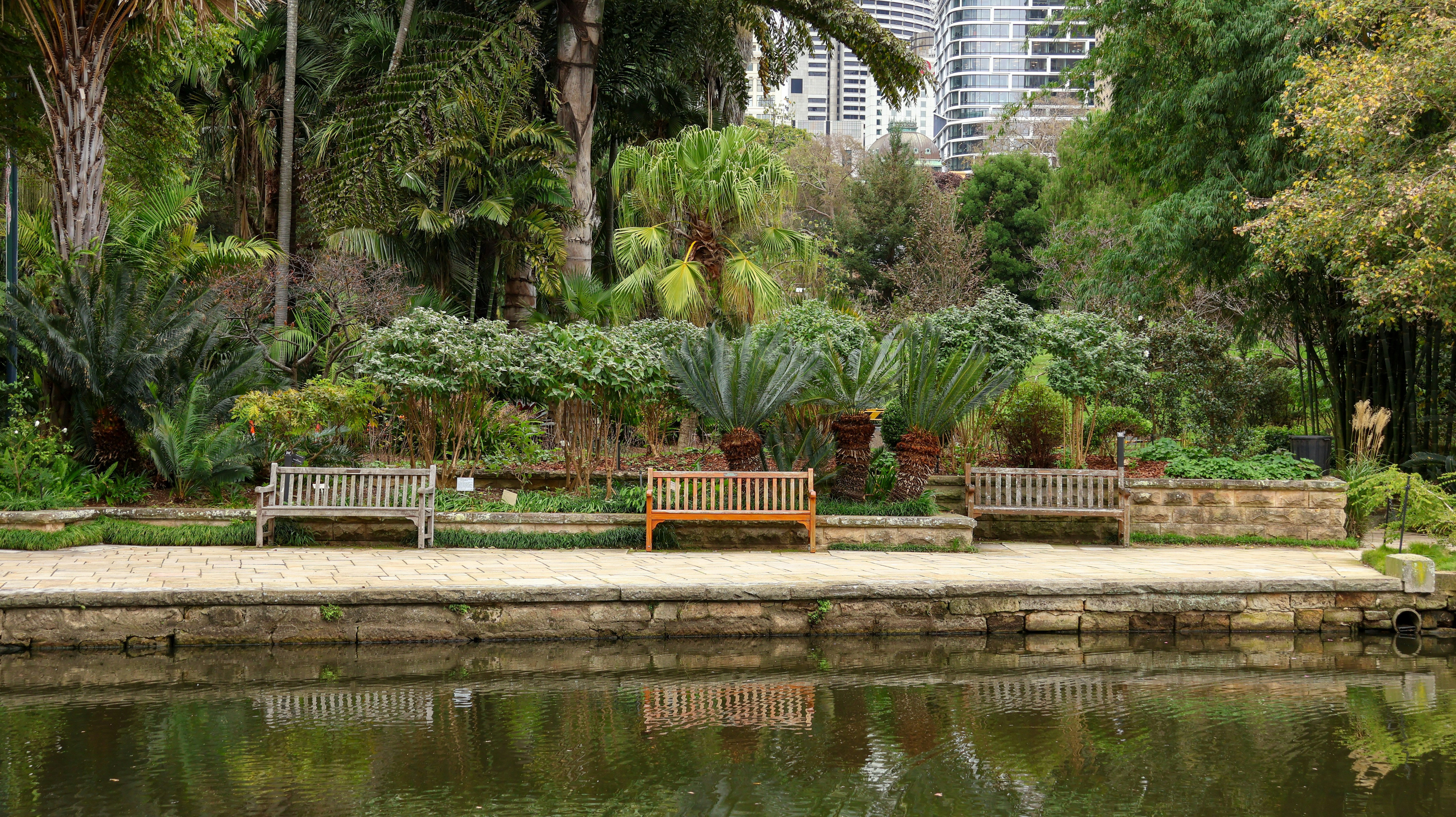 Dan Mahoney Reserve