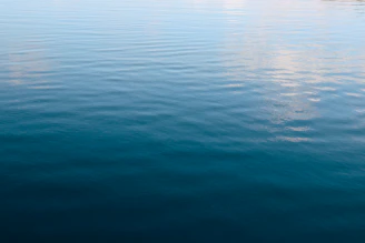 Calm blue water with gentle ripples reflecting light