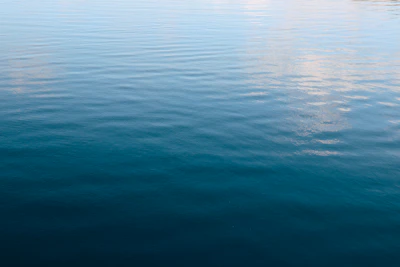 Calm blue water with gentle ripples reflecting light