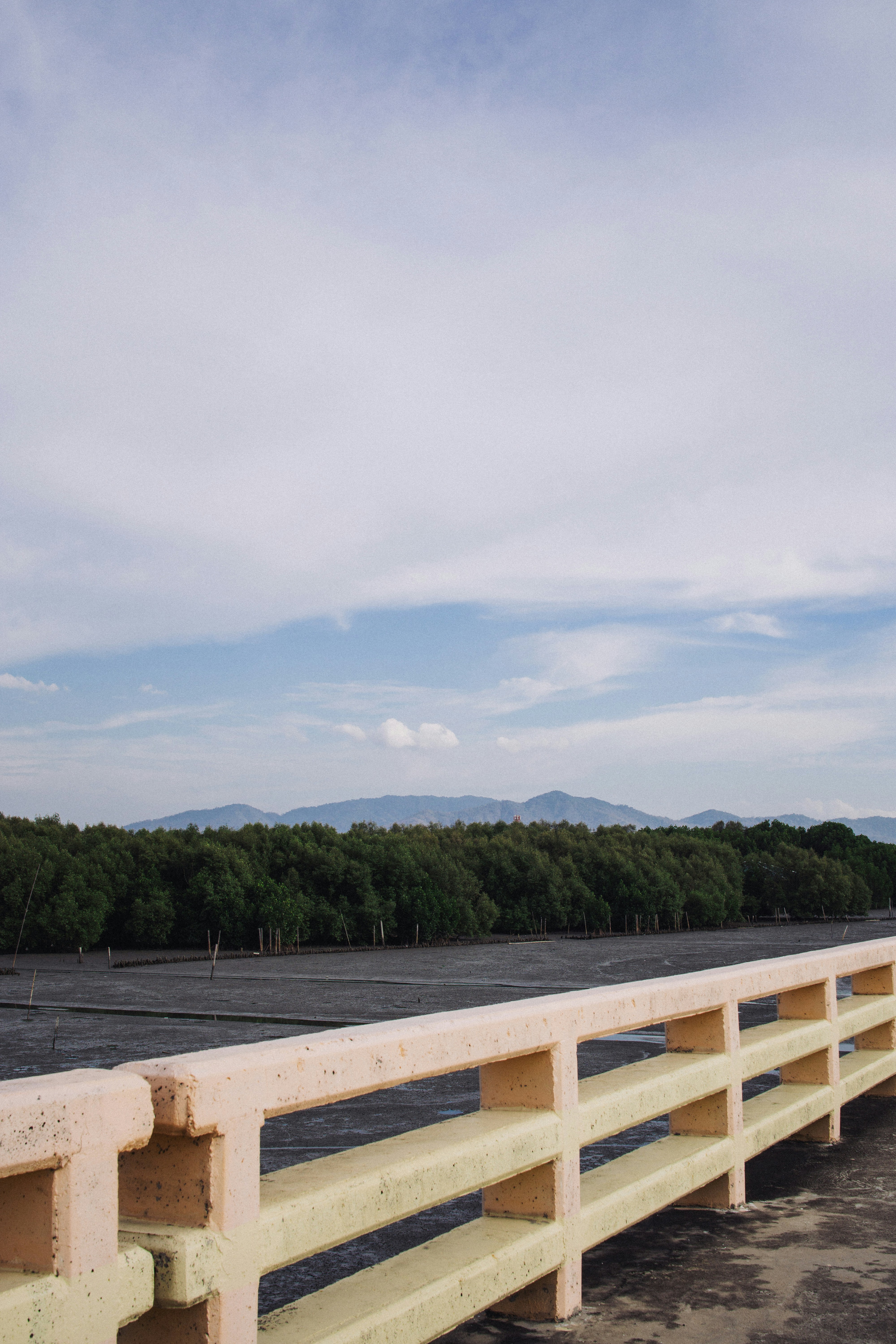 A light pink and yellow railing overlooks a dense forest.
