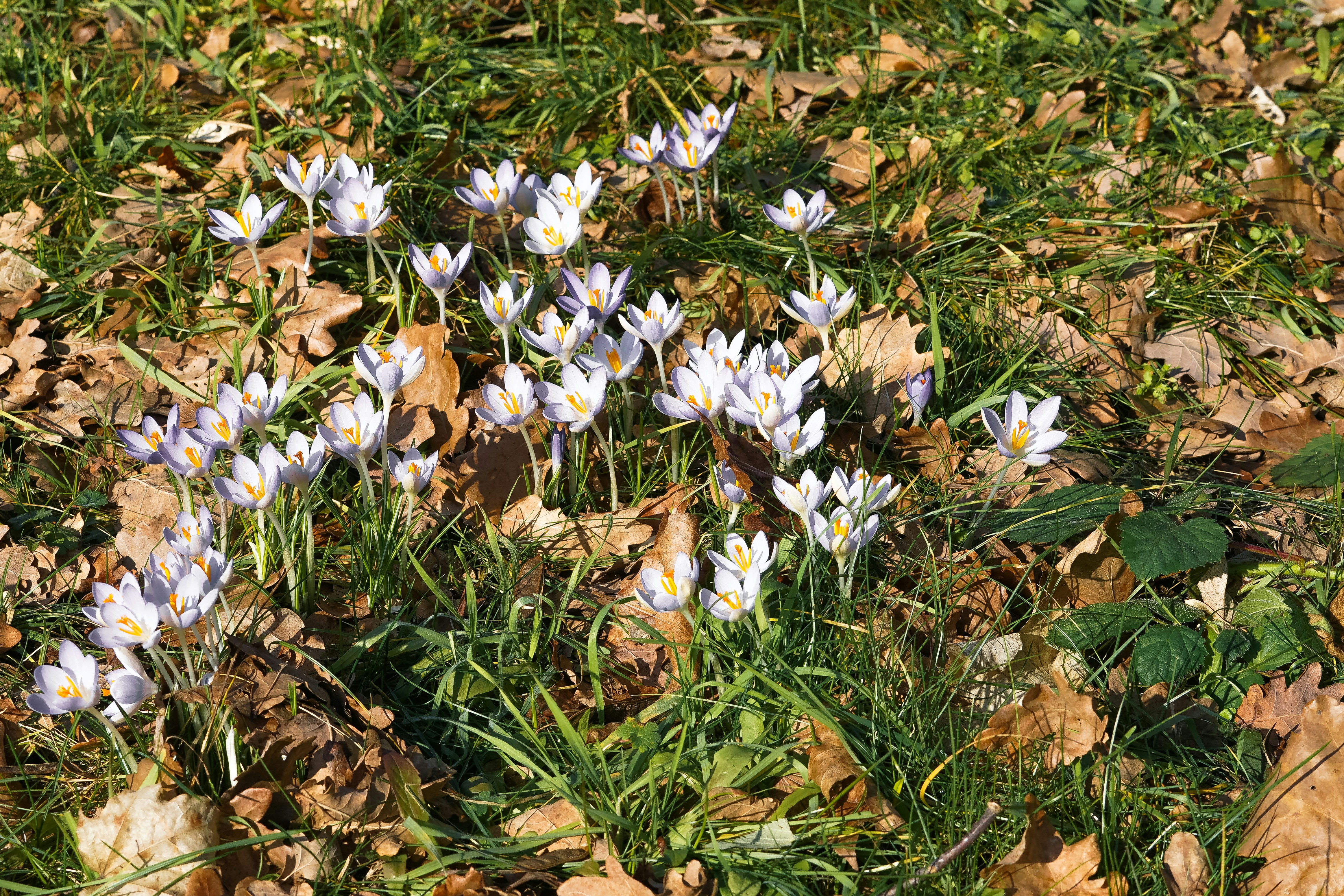 Photo by hamburgmeinefreundin