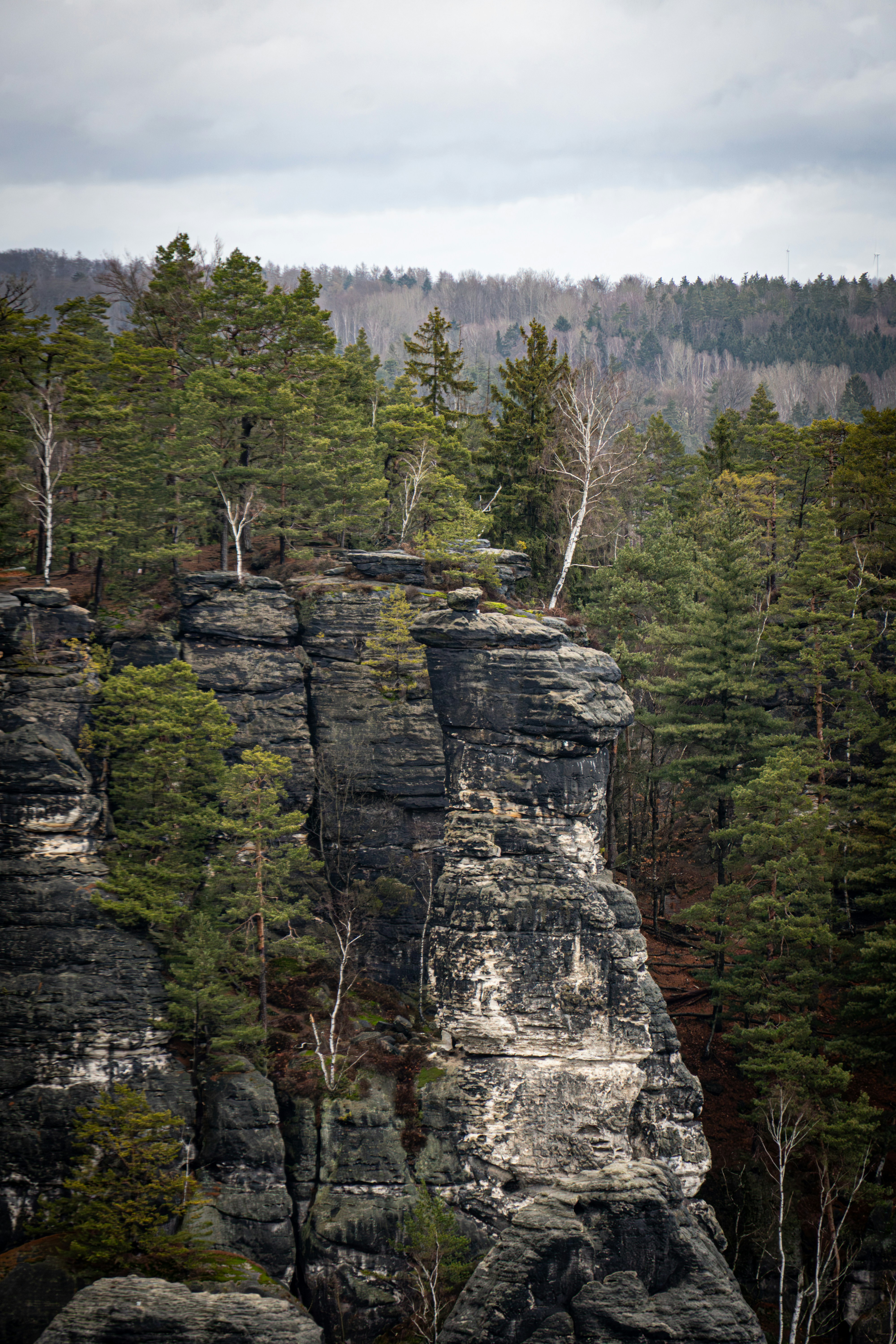 Rocky cliffs with pine trees and birch trees.