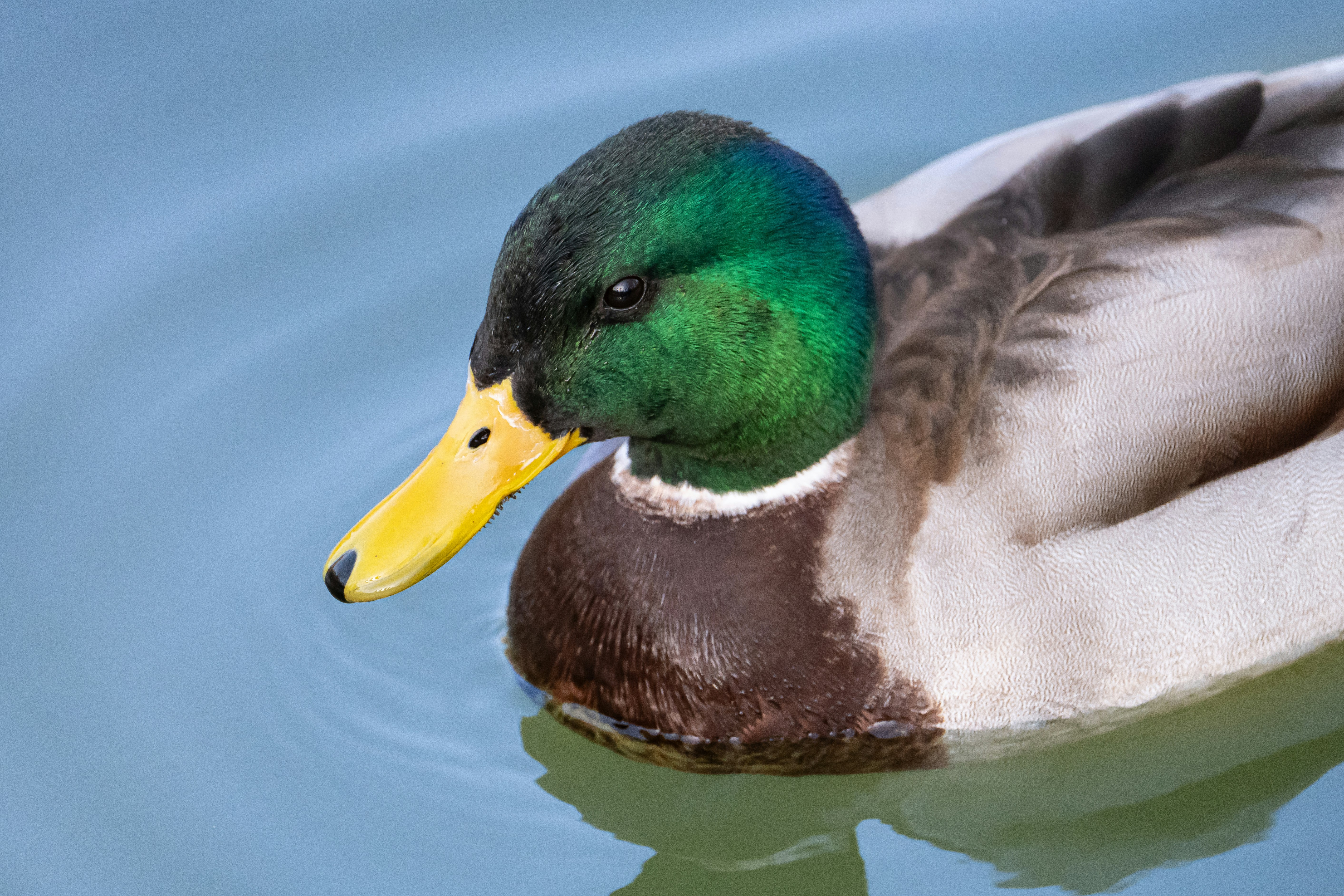 Photo by peek_a_boo_who