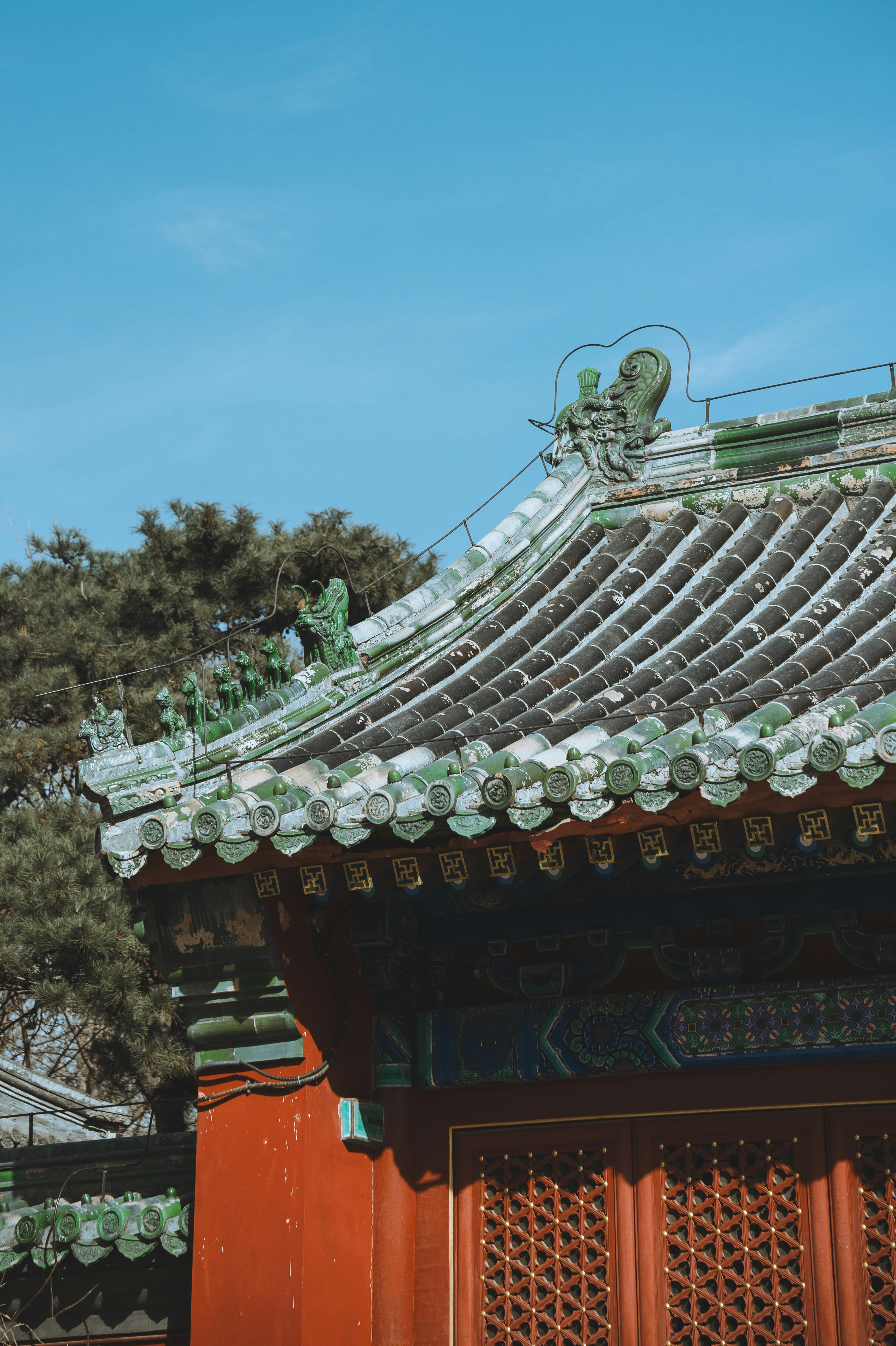 Photo by peek_a_boo_who