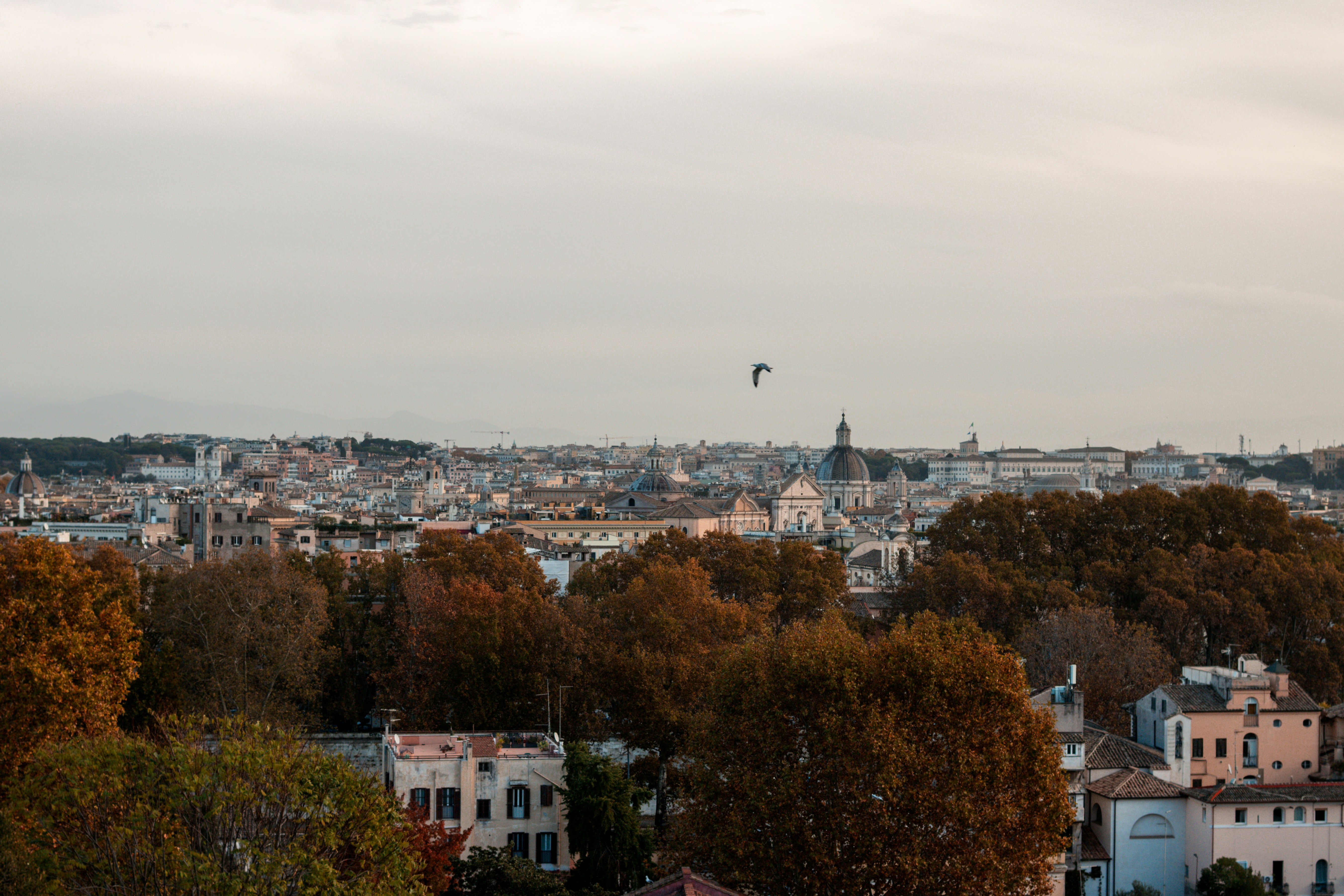 Photo by rvasilovski