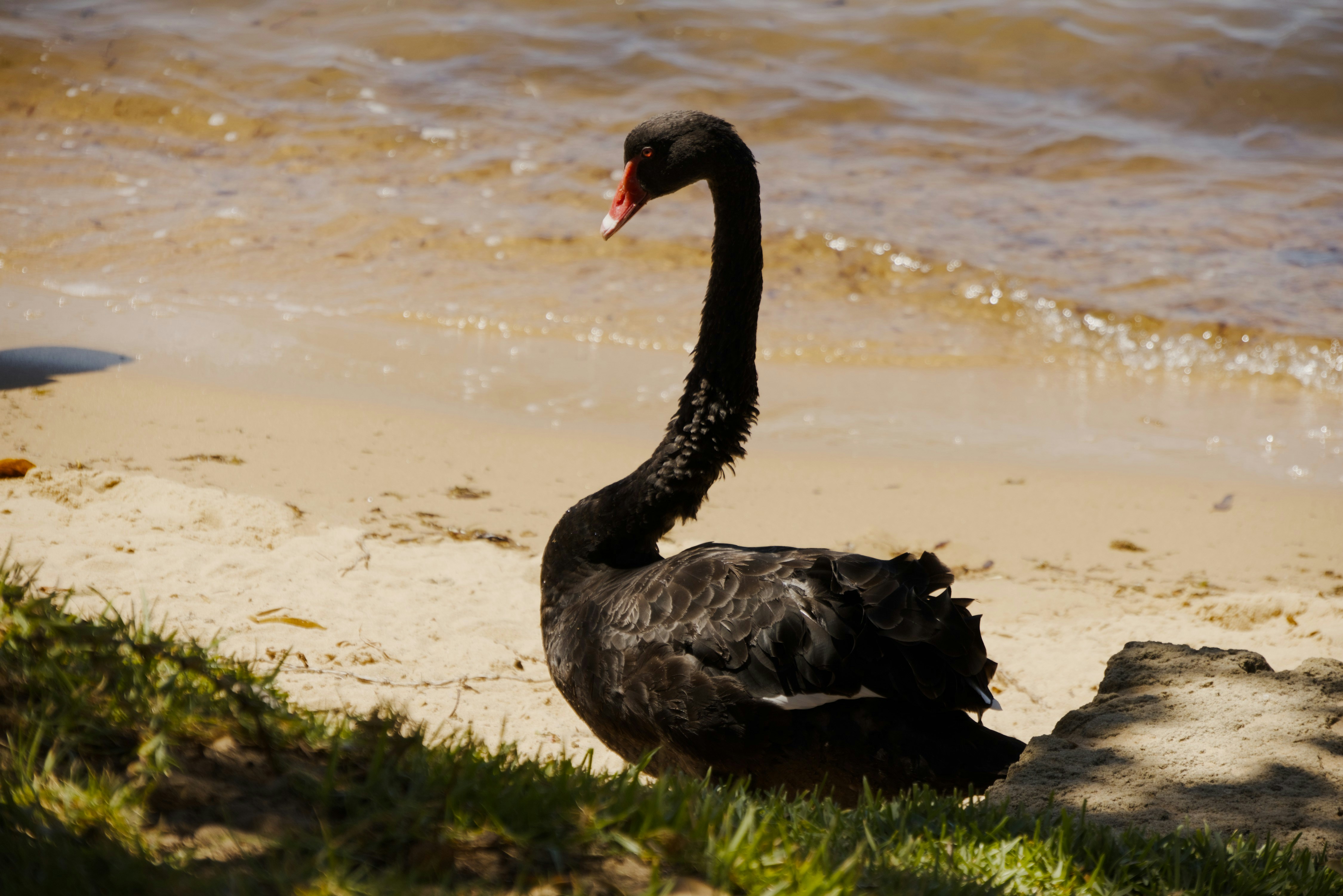 Photo by gapincyberspace