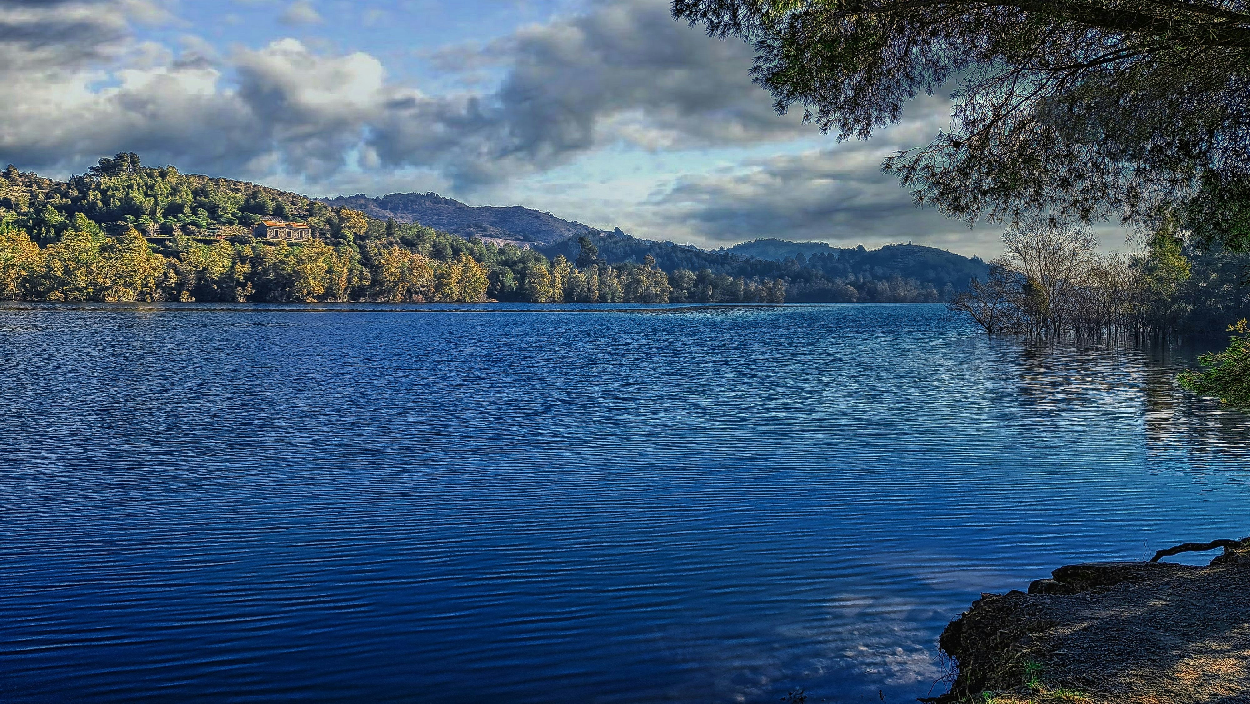 A calm blue lake surrounded by trees and mountains.