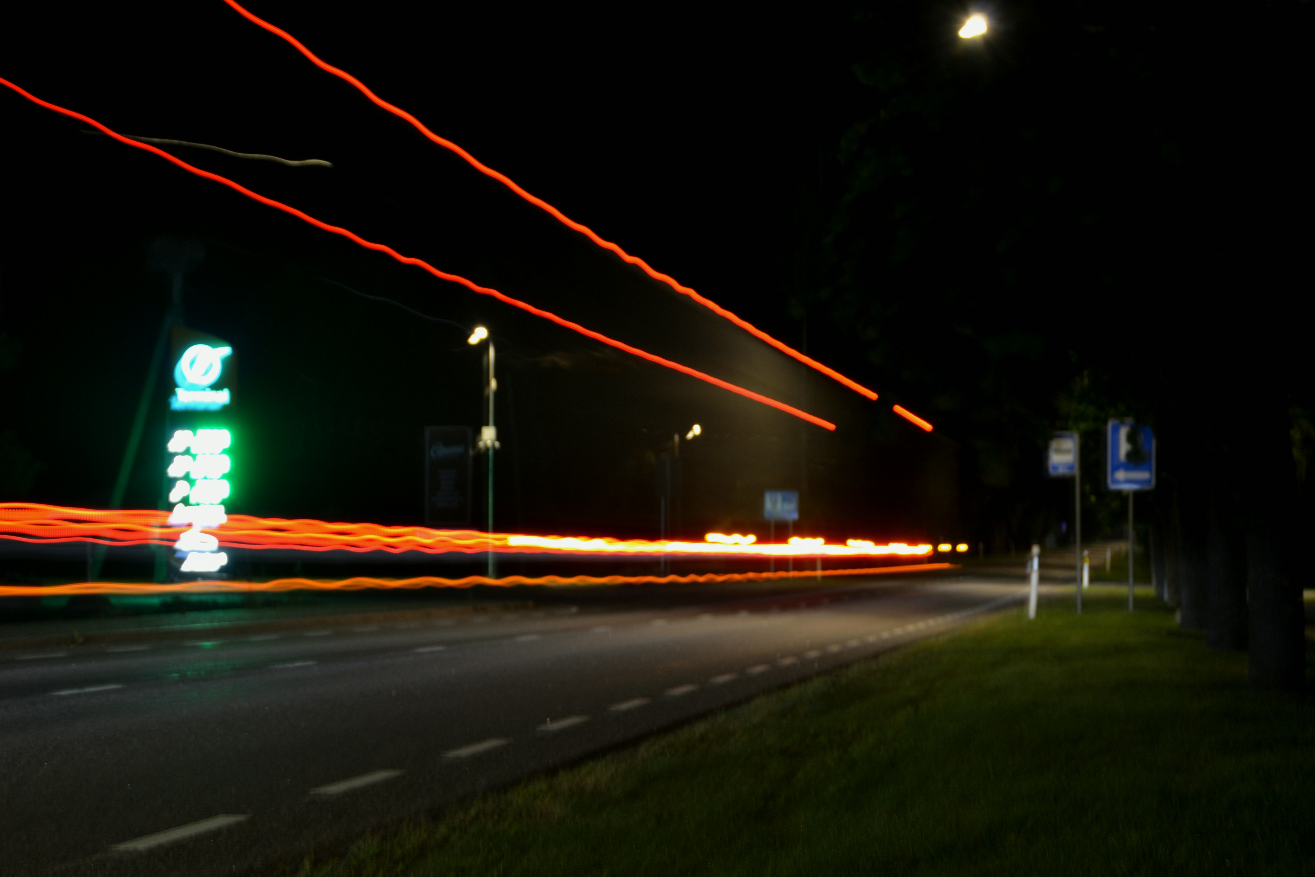 Photo by psilocybe53