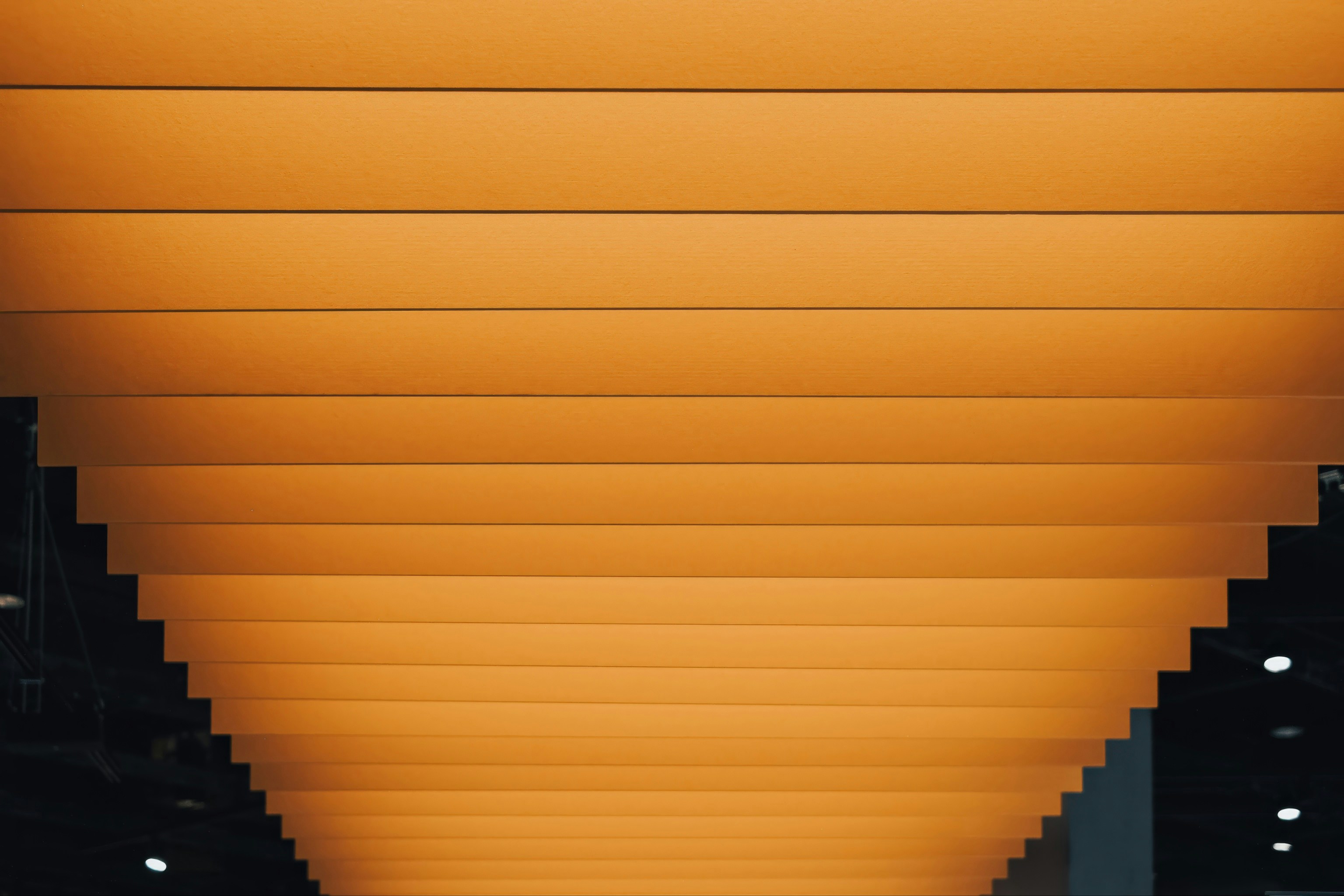 Image related to exhibition