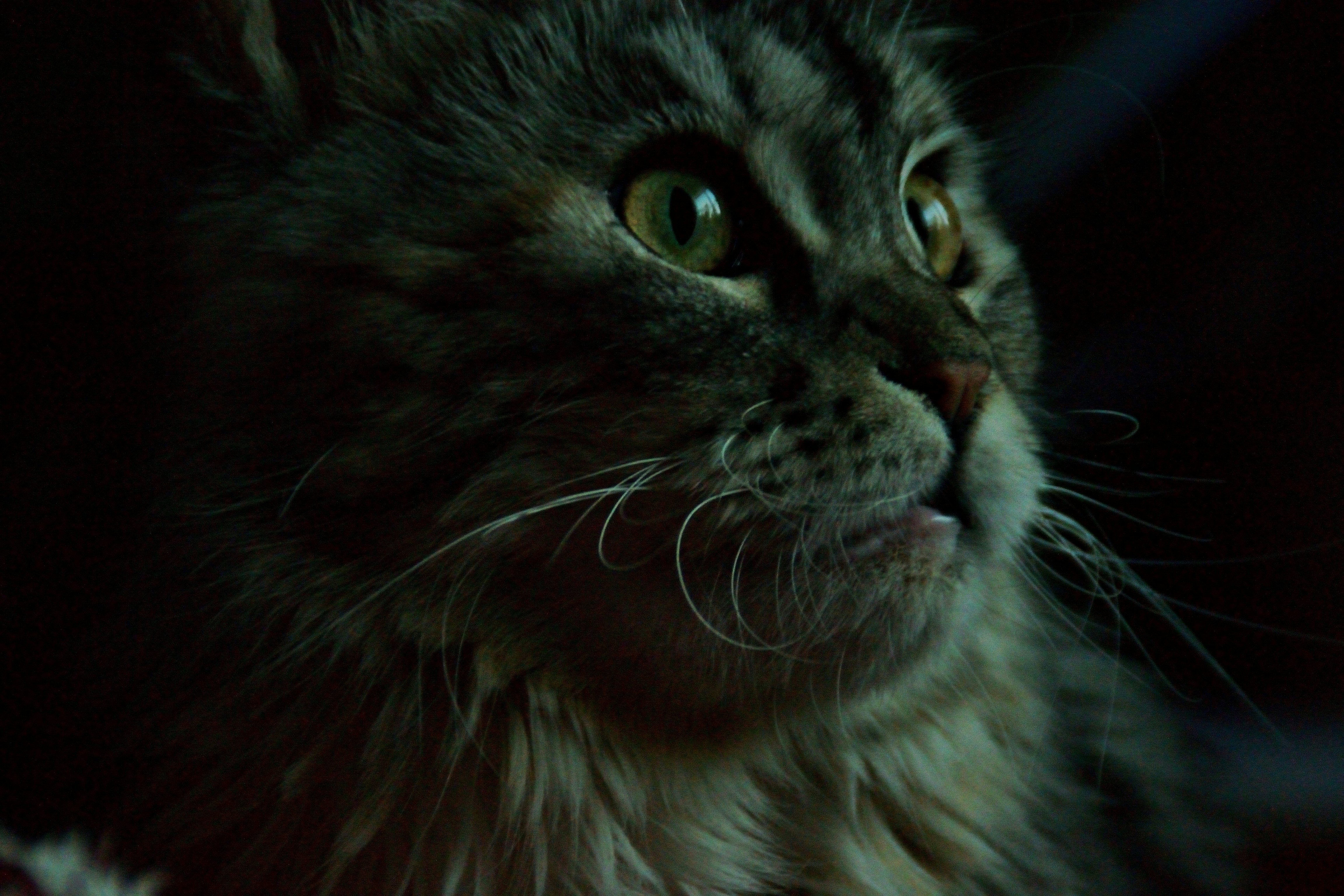 Photo by psilocybe53