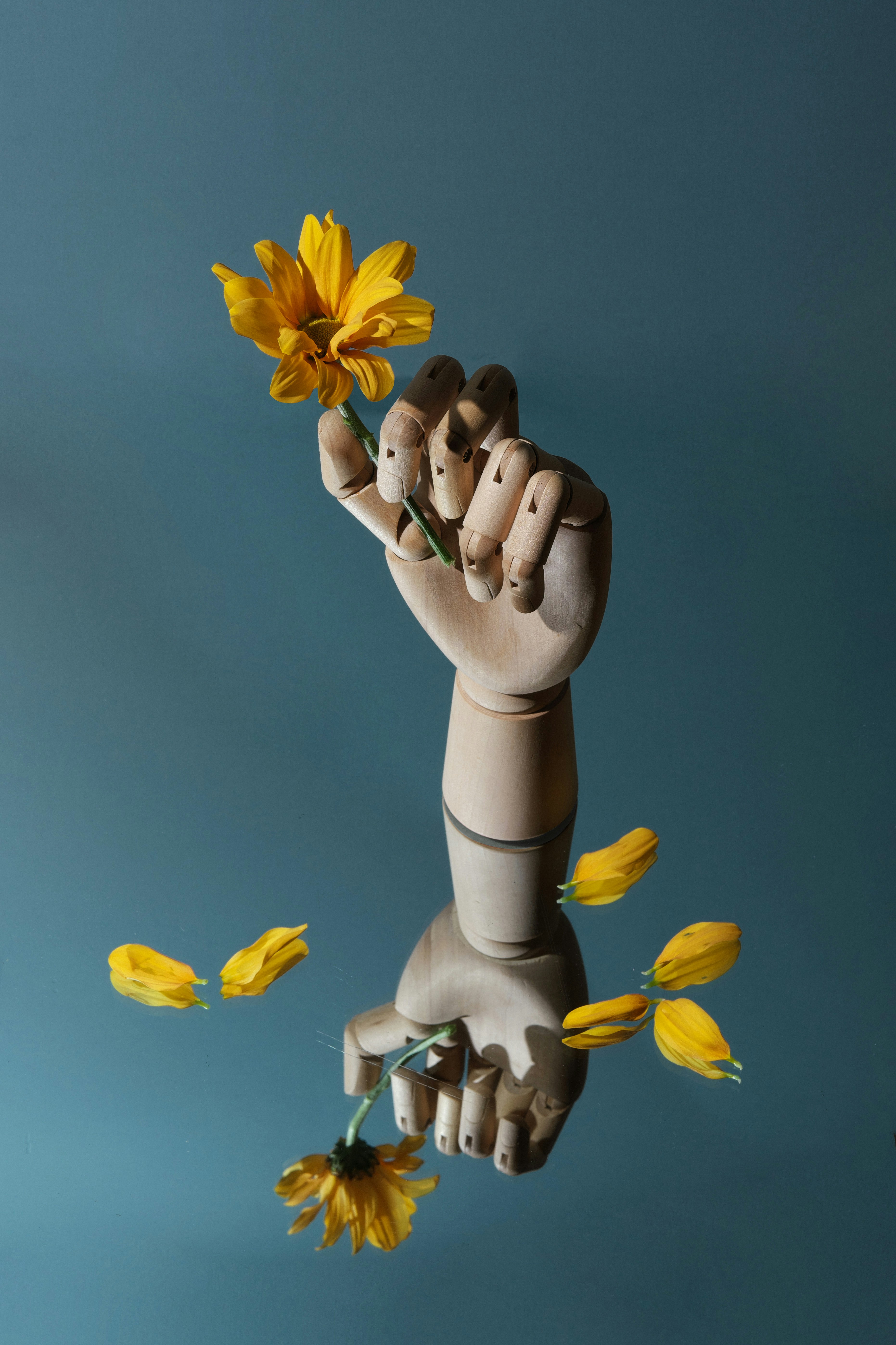 Mão de madeira segurando uma flor amarela com pétalas caindo