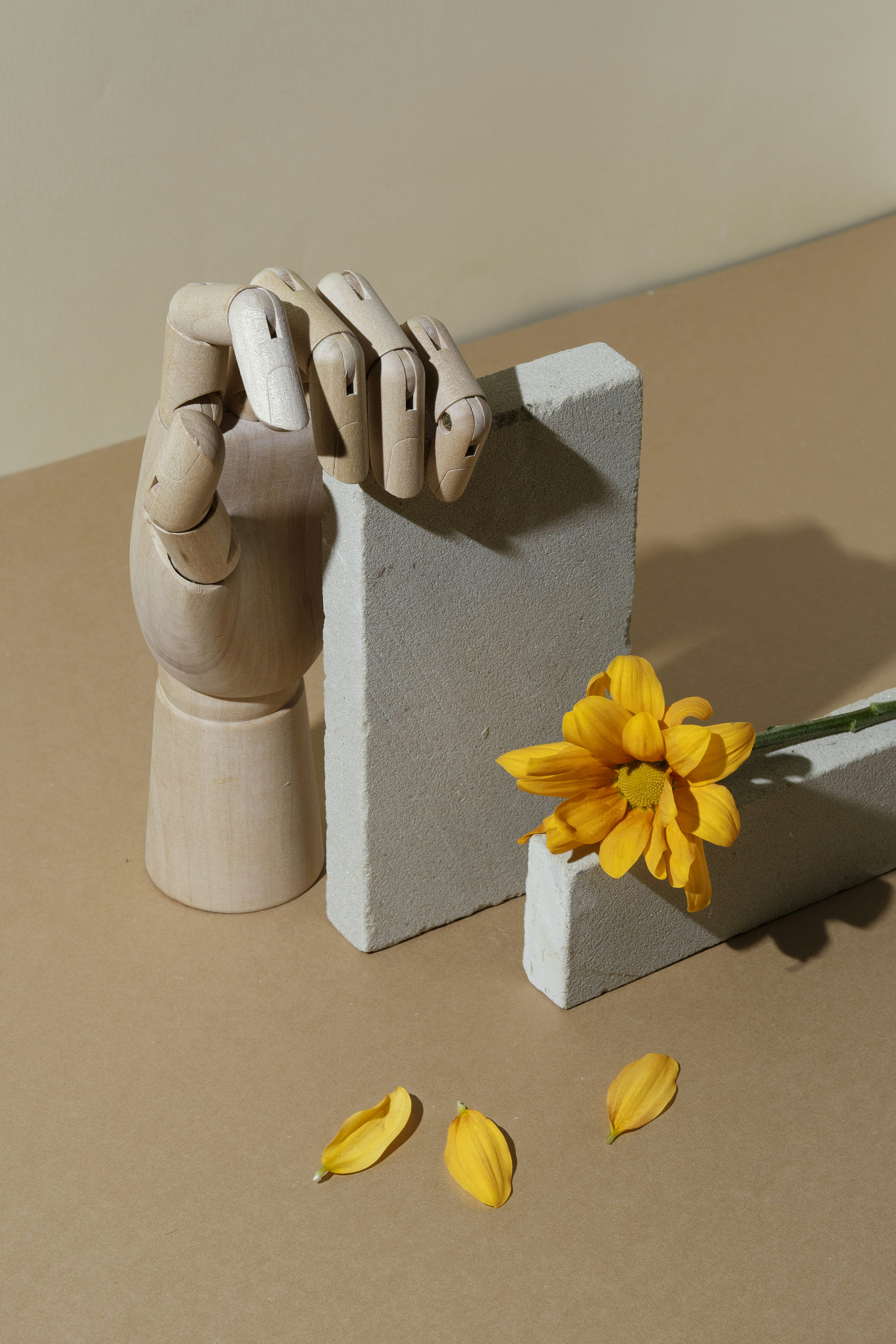 Holzhand, die nach einer gelben Blume auf Blöcken greift