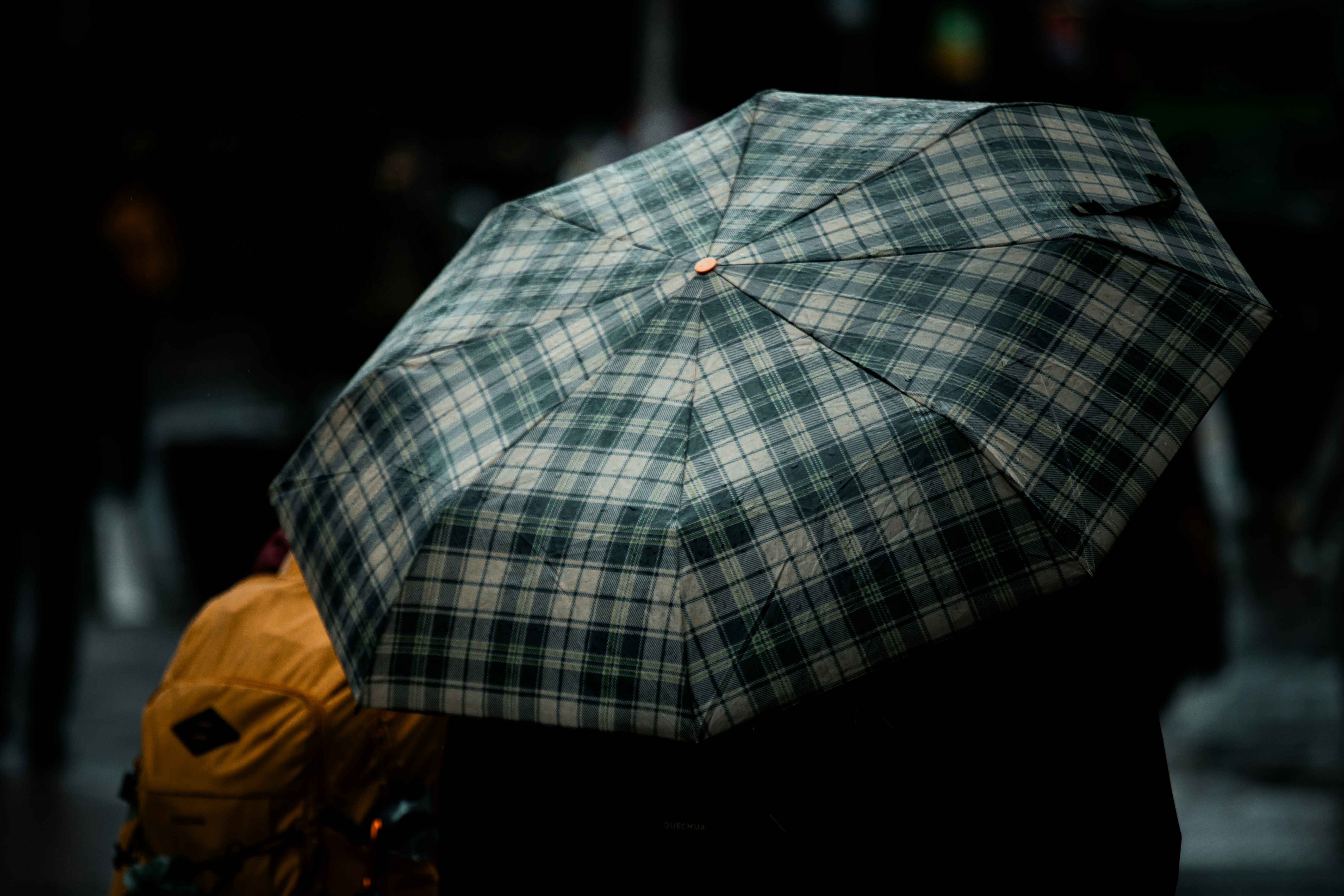 Photo by atelierbyvineeth