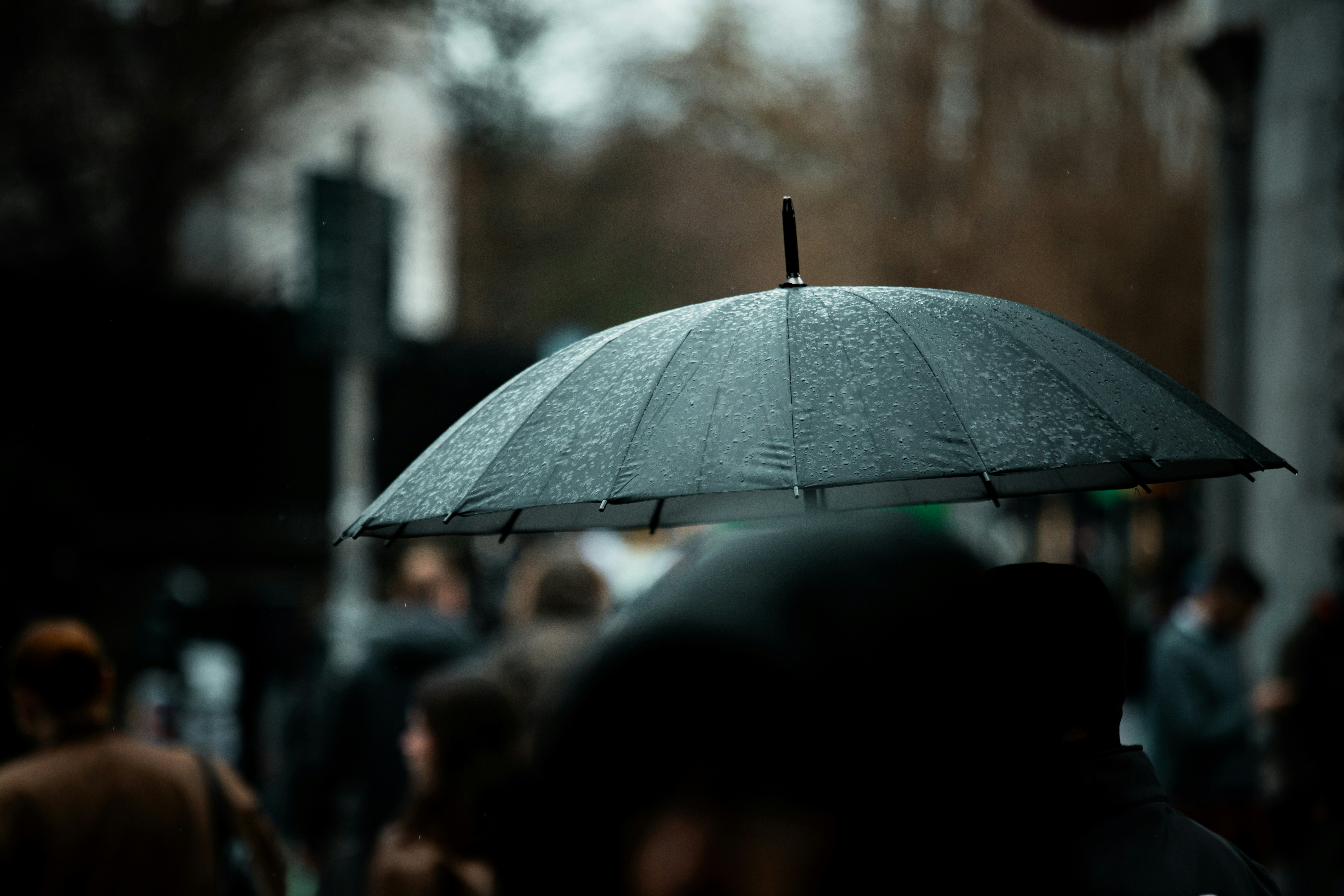 Photo by atelierbyvineeth