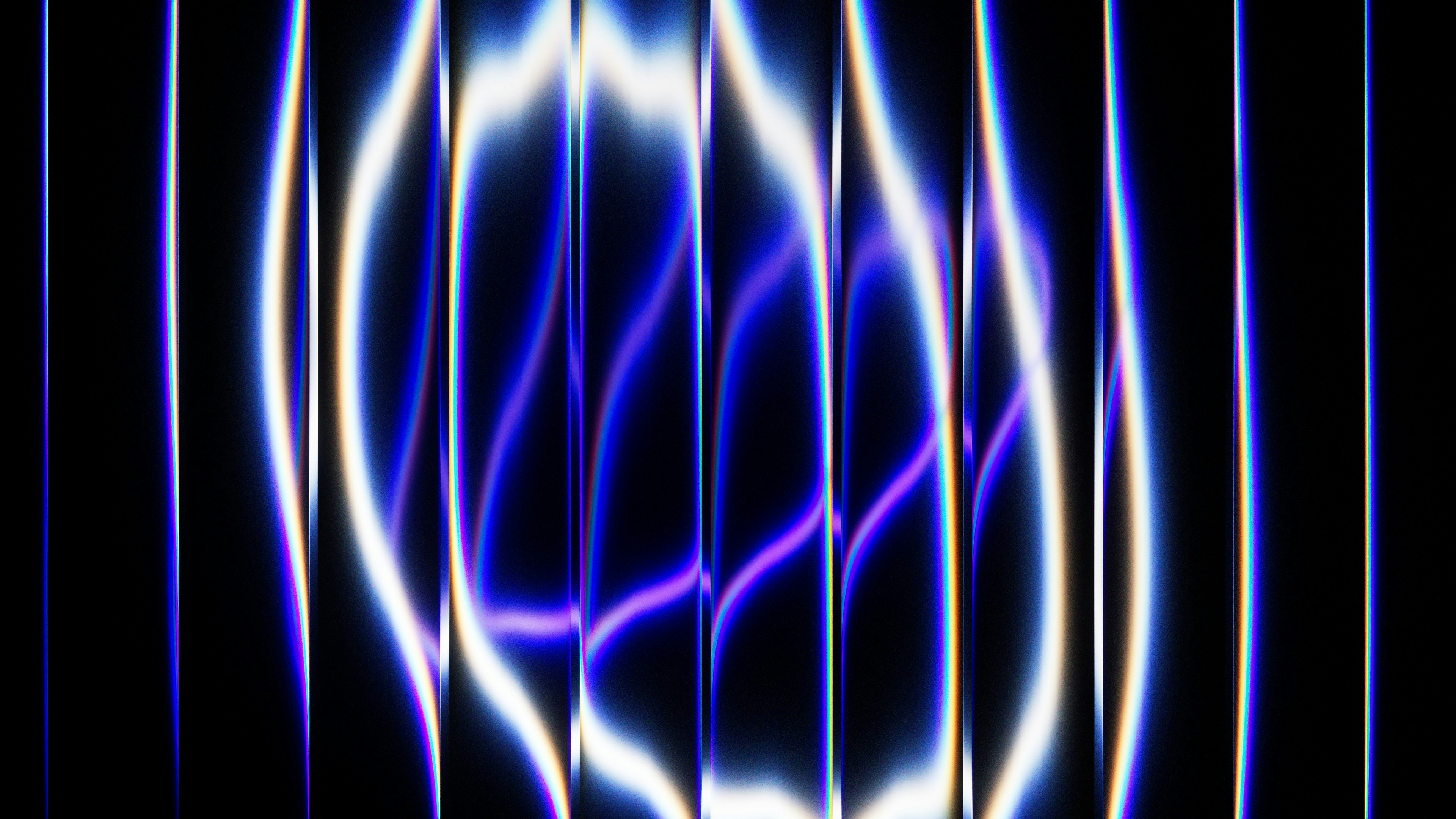 Photo by sam_roy7093