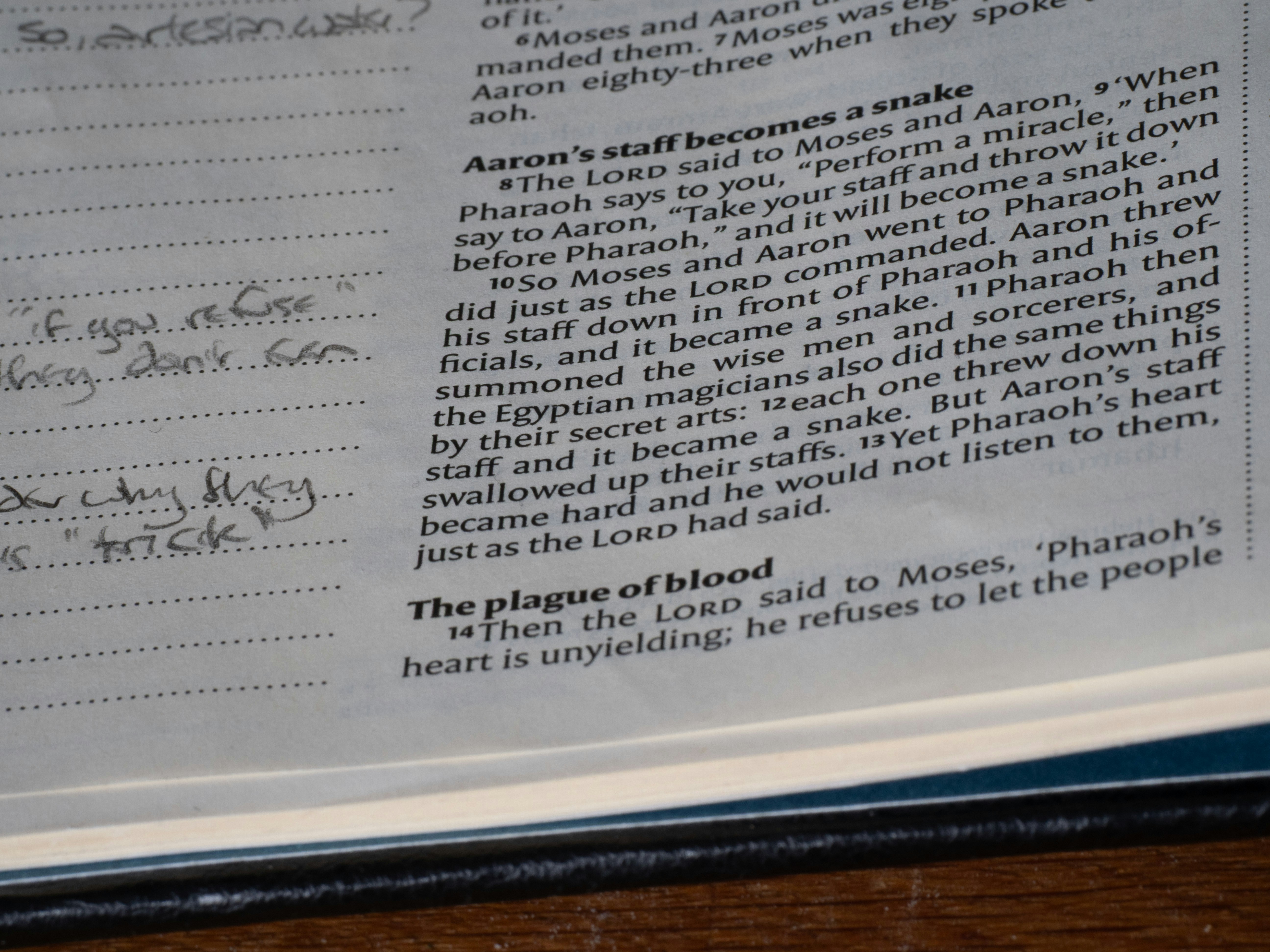 Close-up of a bible page with text. (Photo by Brett Jordan on Unsplash)