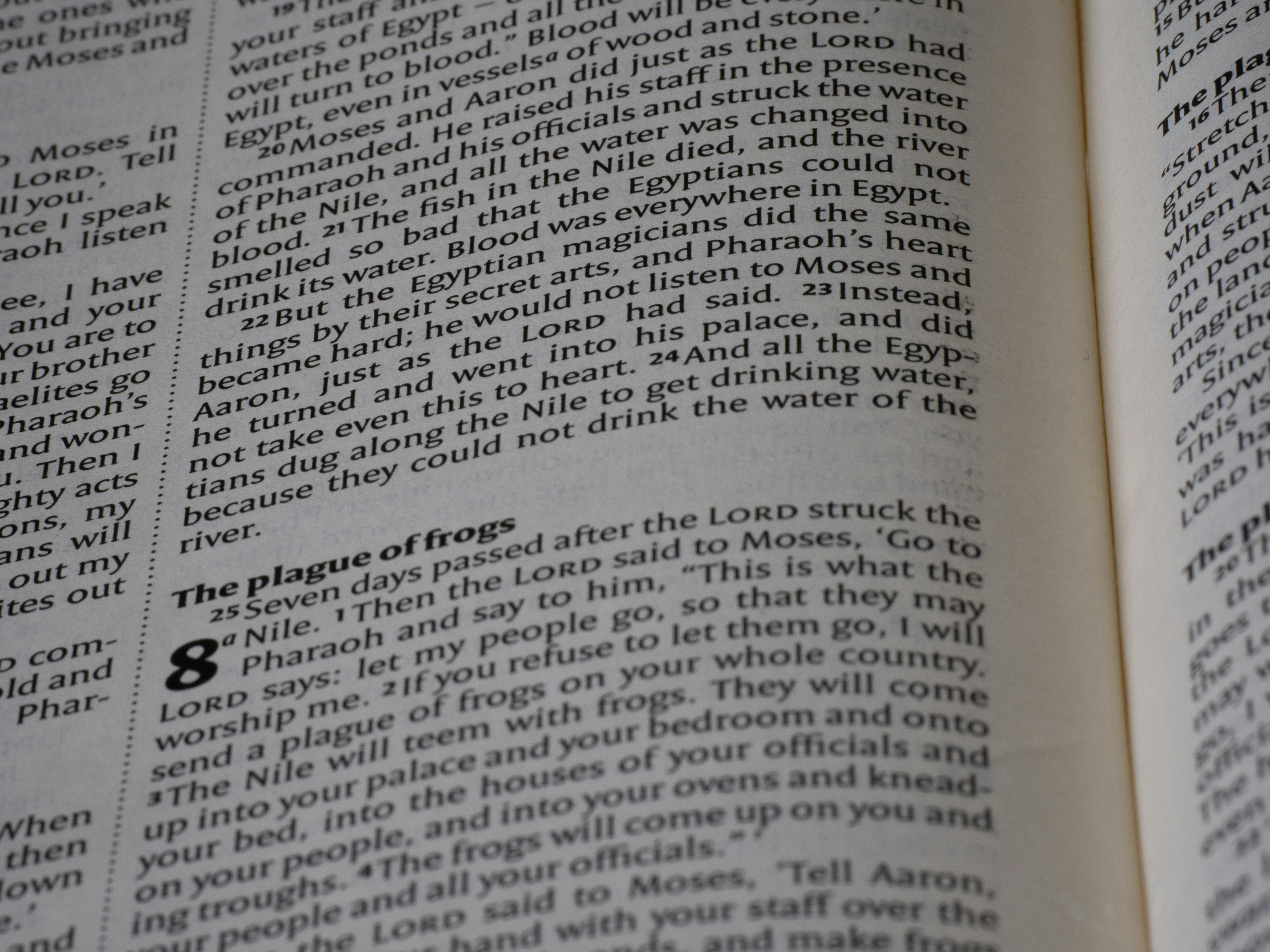 Close-up of an open book with text visible.