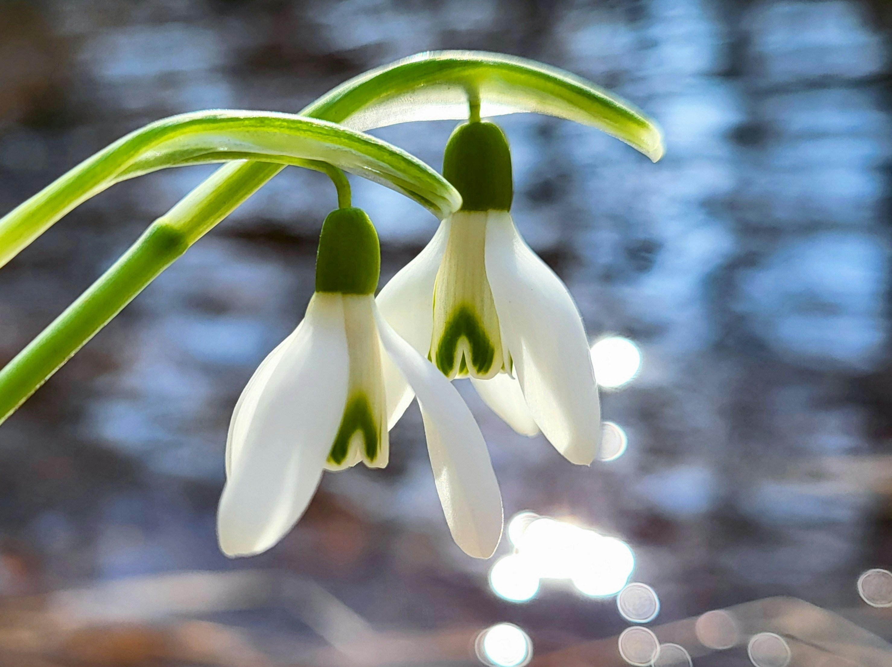 Photo by hejpetrpepa