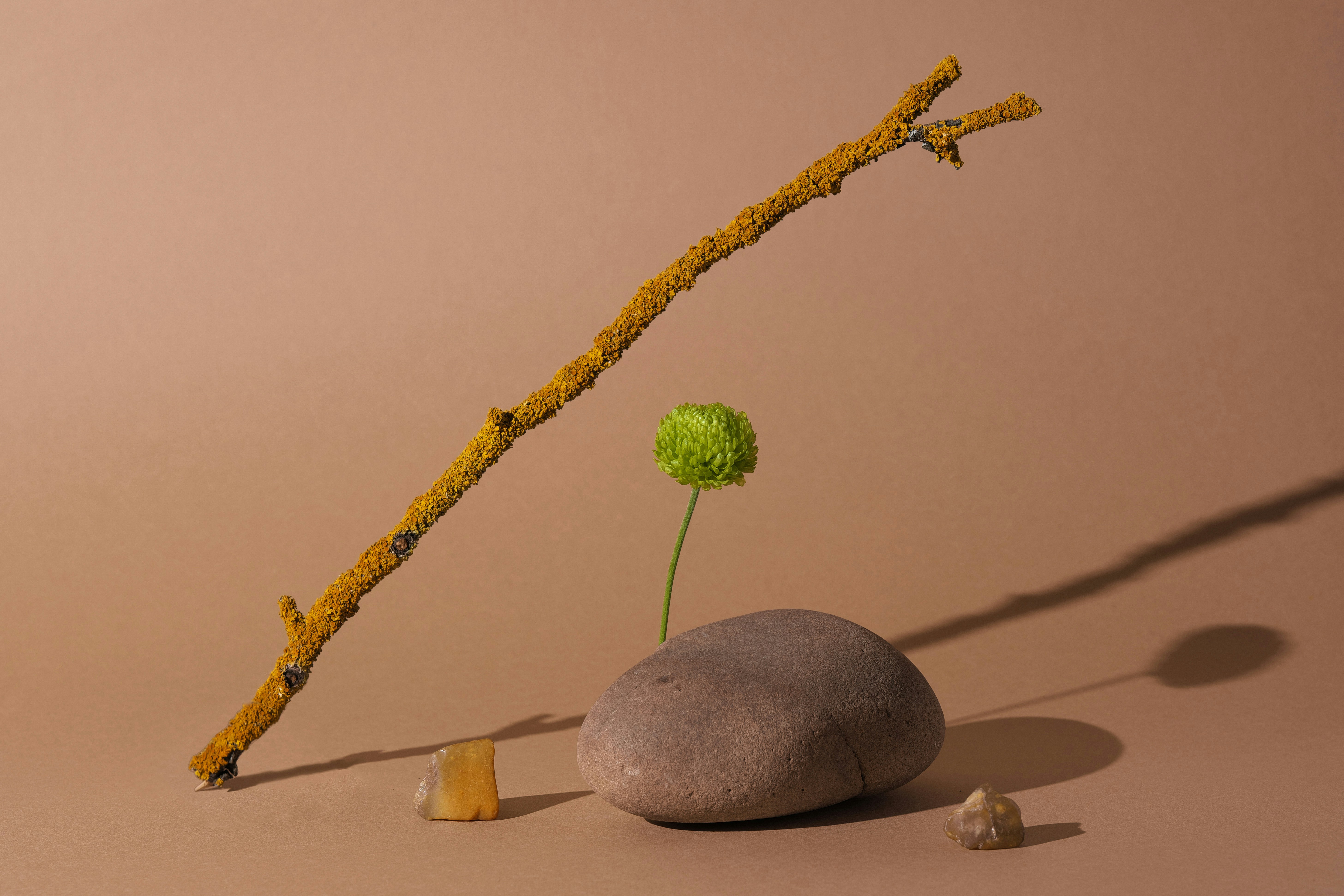 Ein gelber Stock, eine grüne Blume und Steine auf braunem Grund.