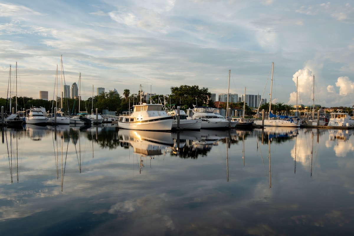 Beautiful waterfront bay view with sailboats and green trees in Miami
