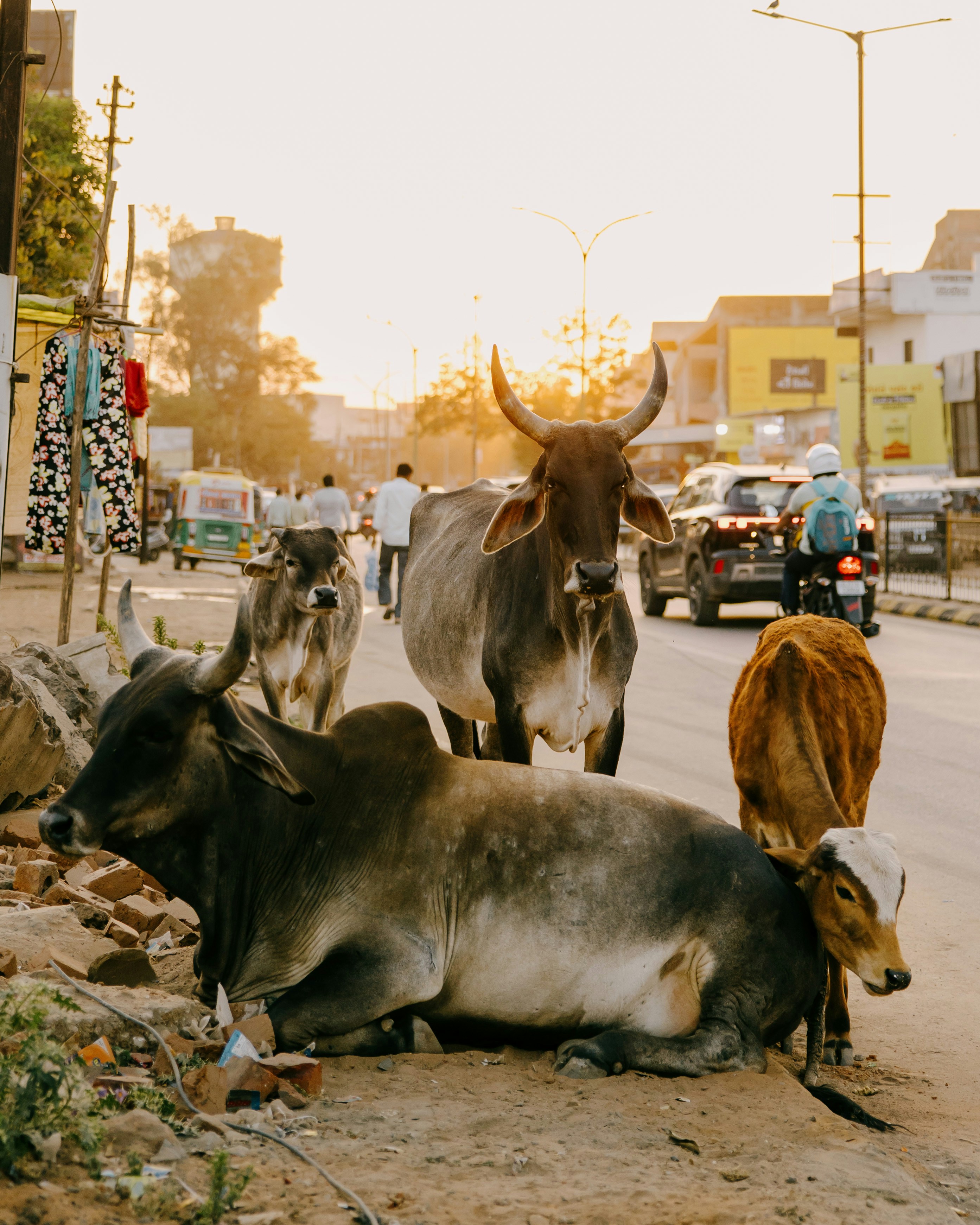 Photo by shotfromdeep