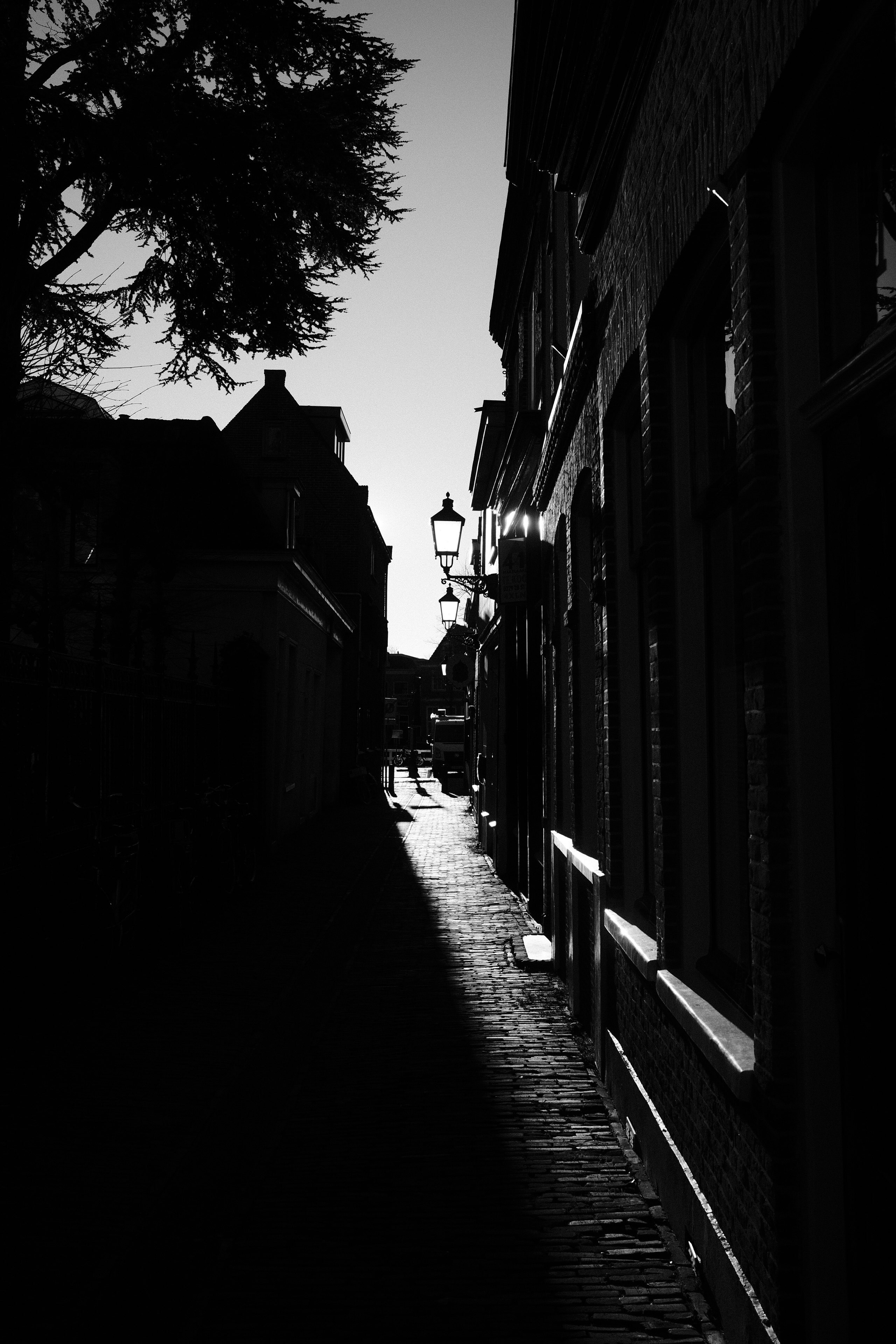 Photo by shotbybodhi