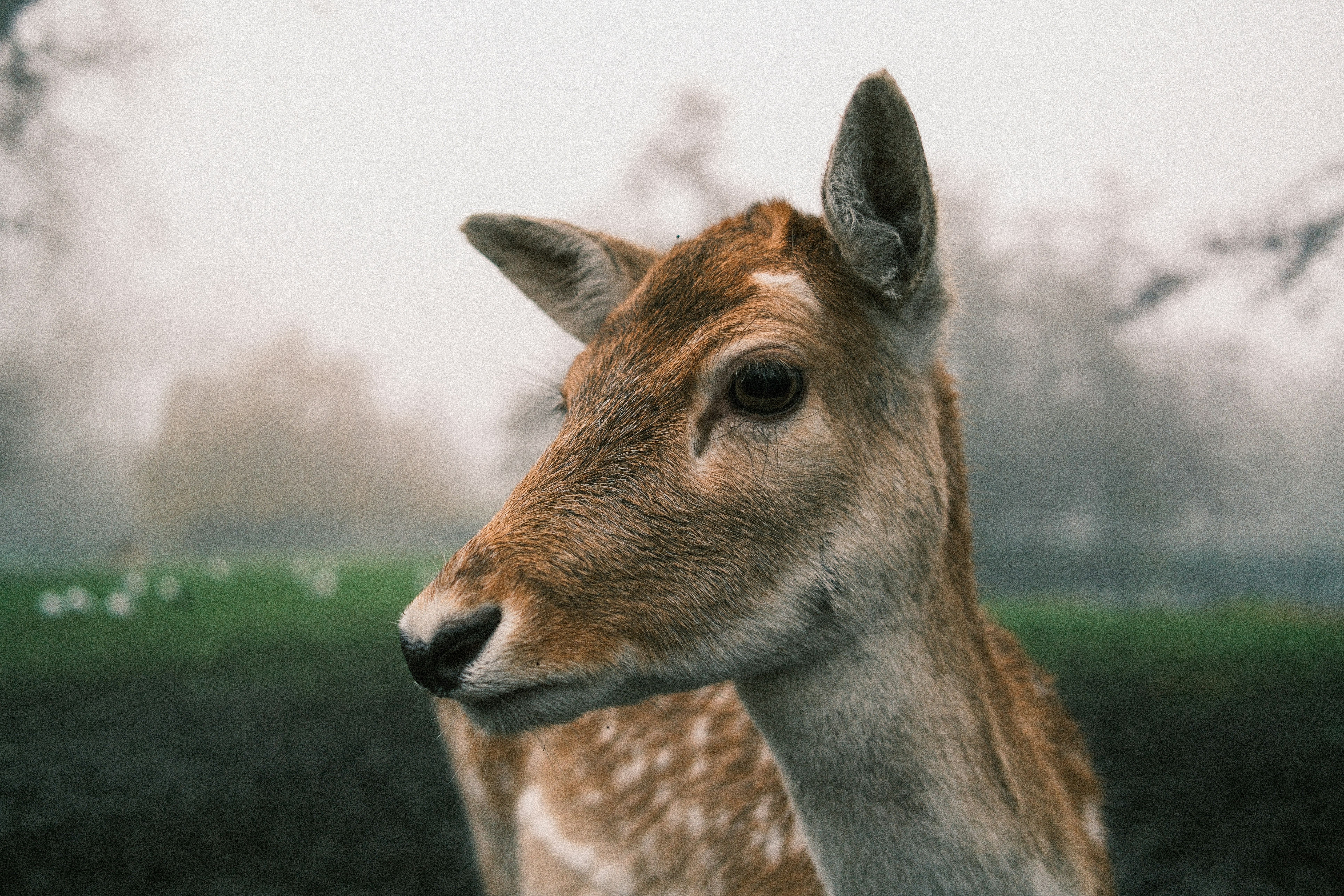 Photo by shotbybodhi