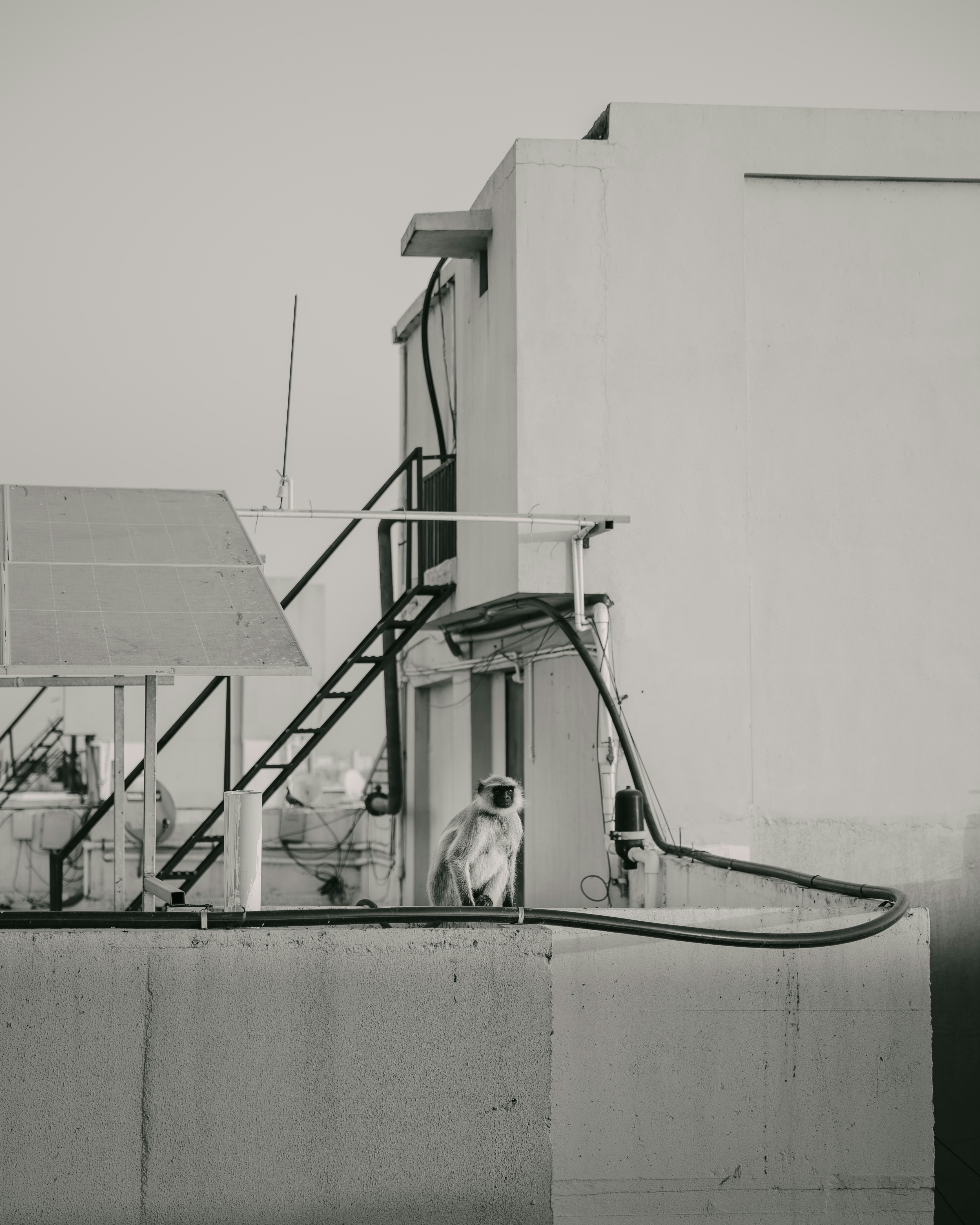 Photo by shotfromdeep