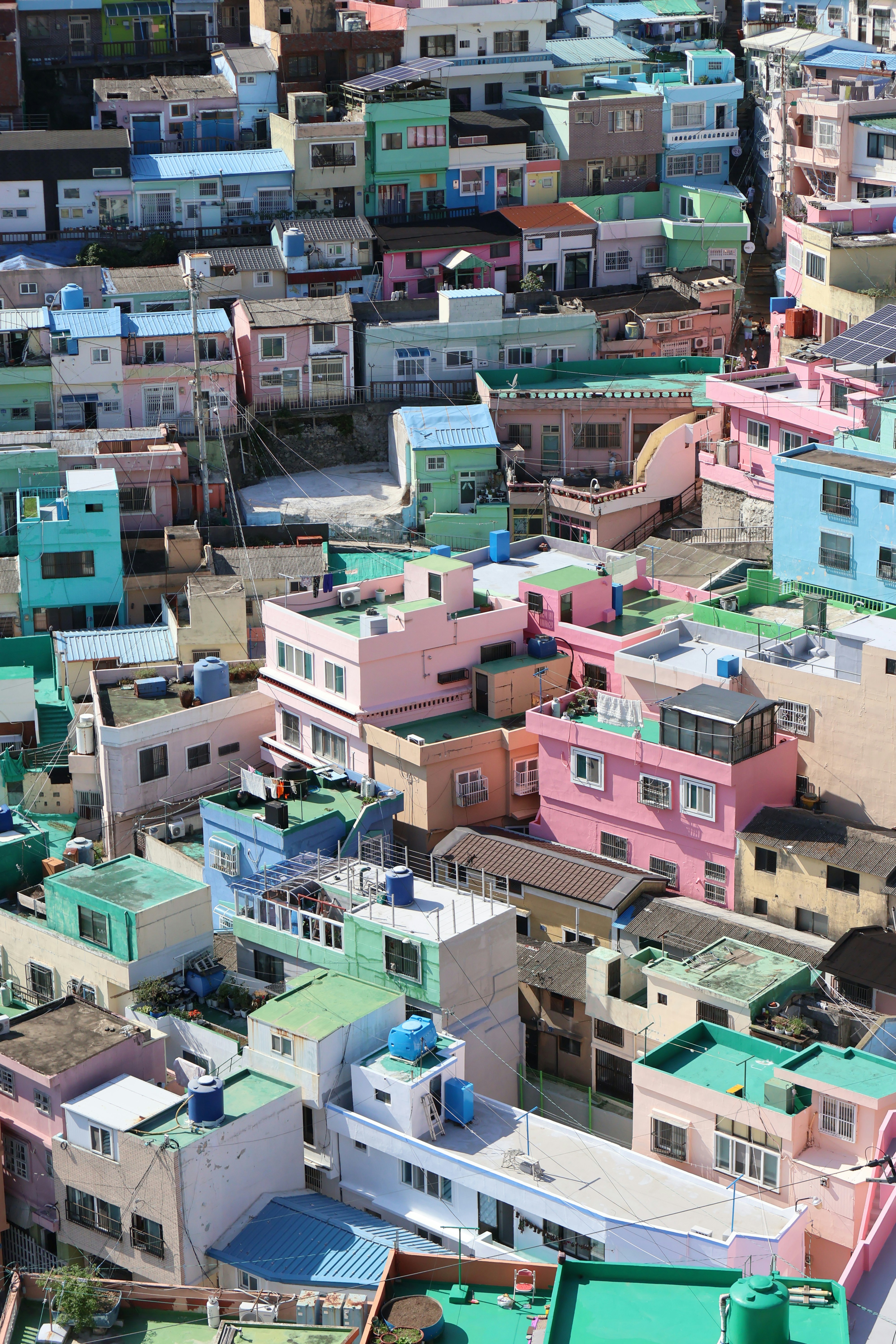 Photo by michael_surazhsky