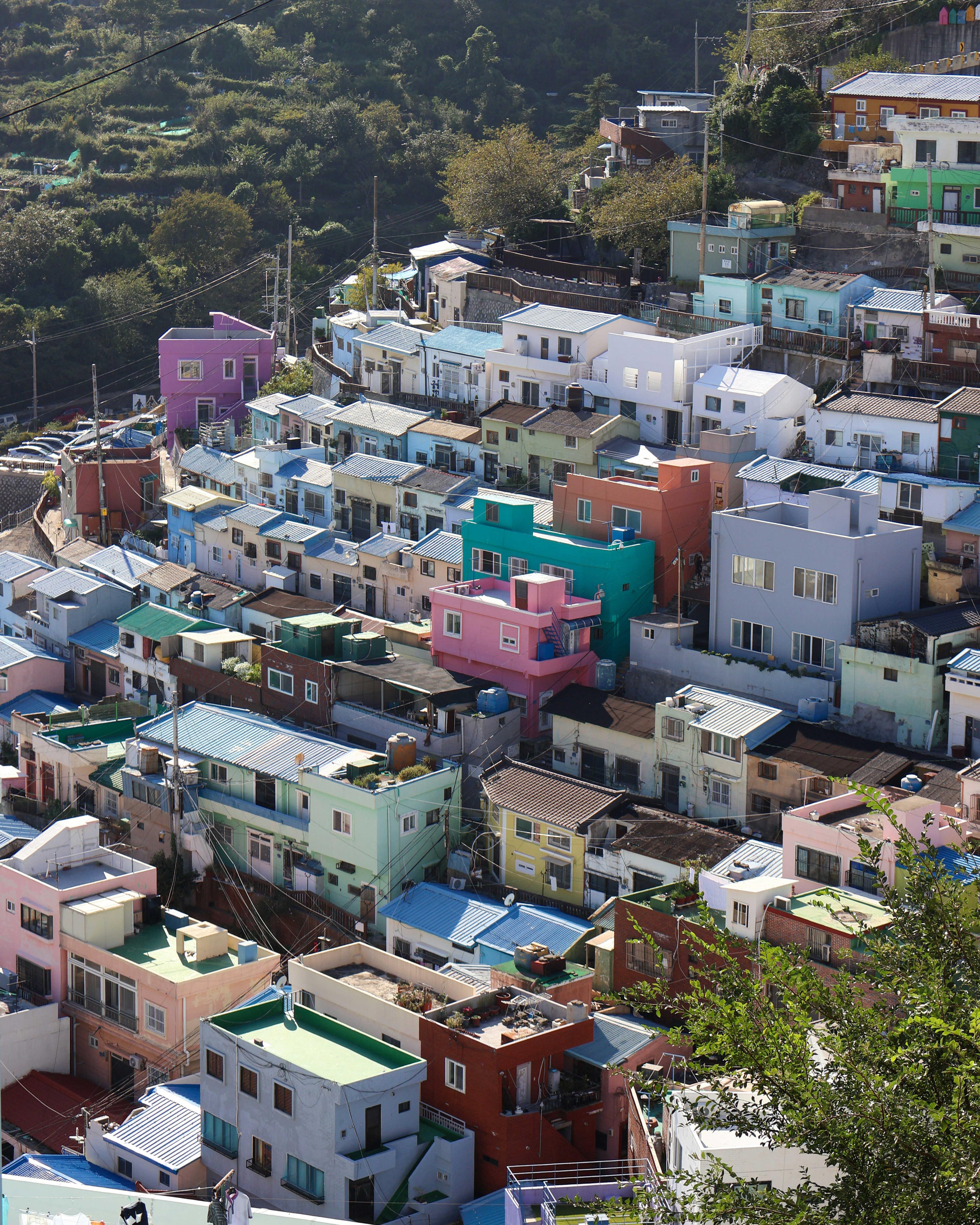 Photo by michael_surazhsky