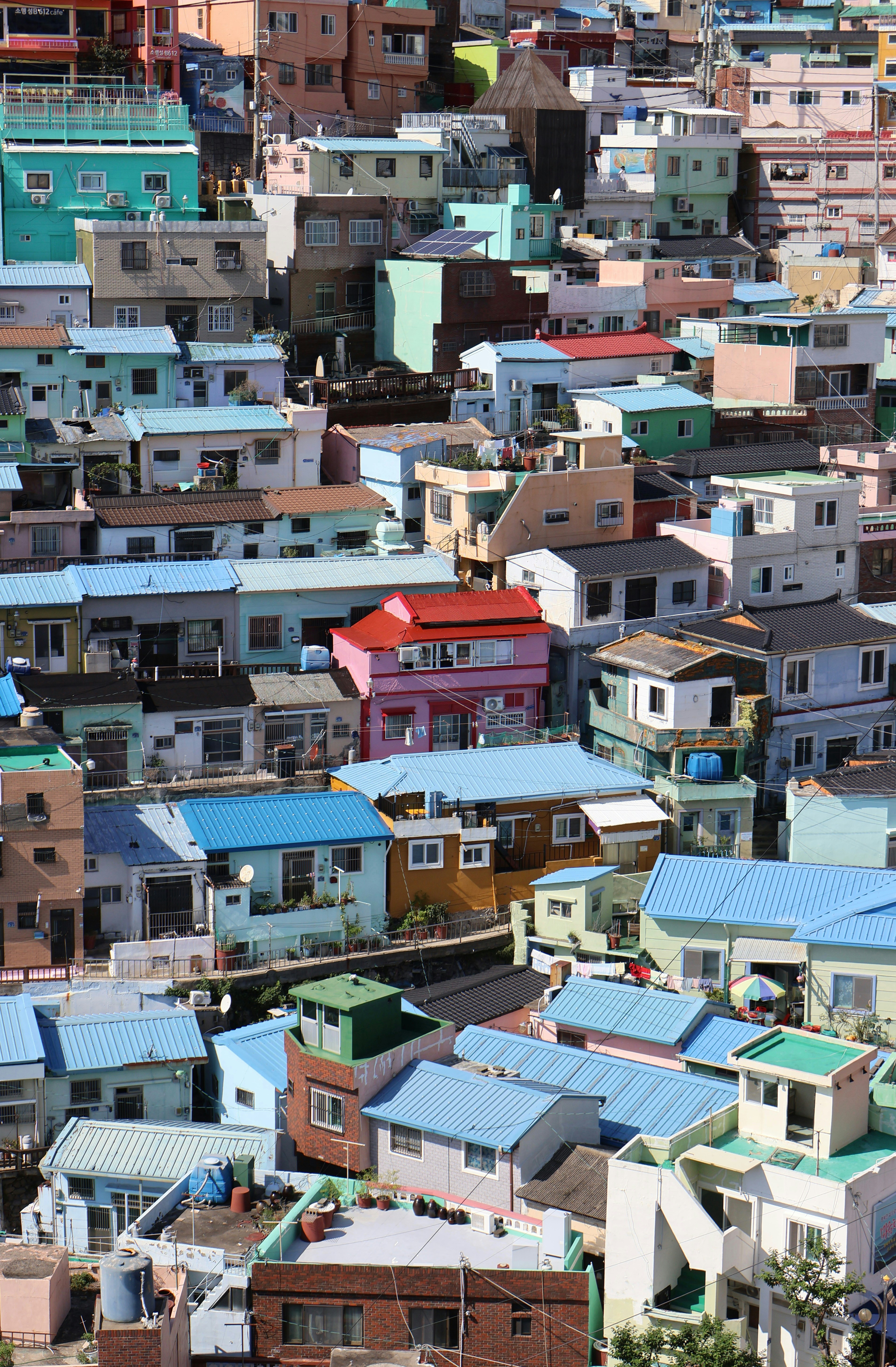 Photo by michael_surazhsky