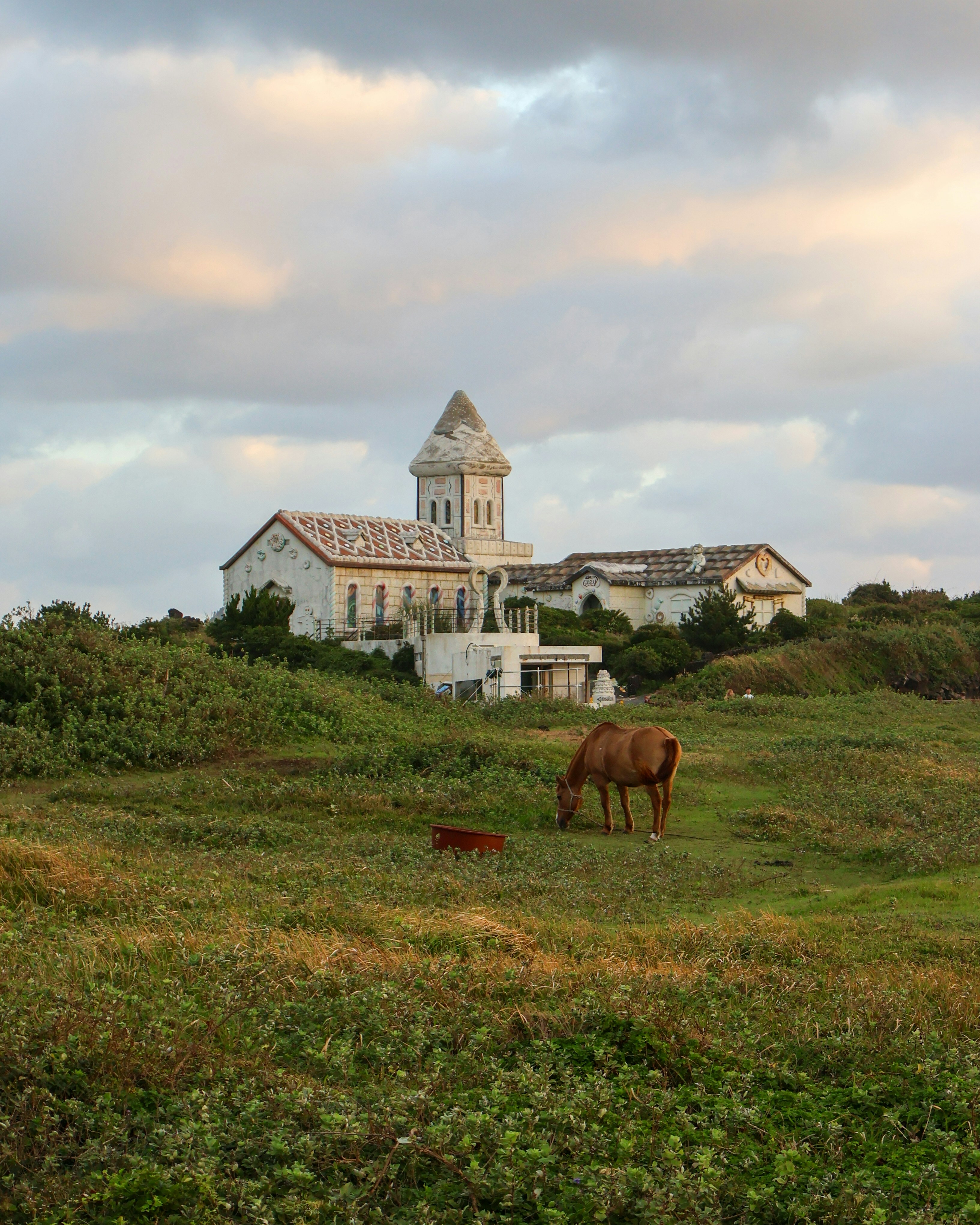 A horse grazes in a field near an old building.