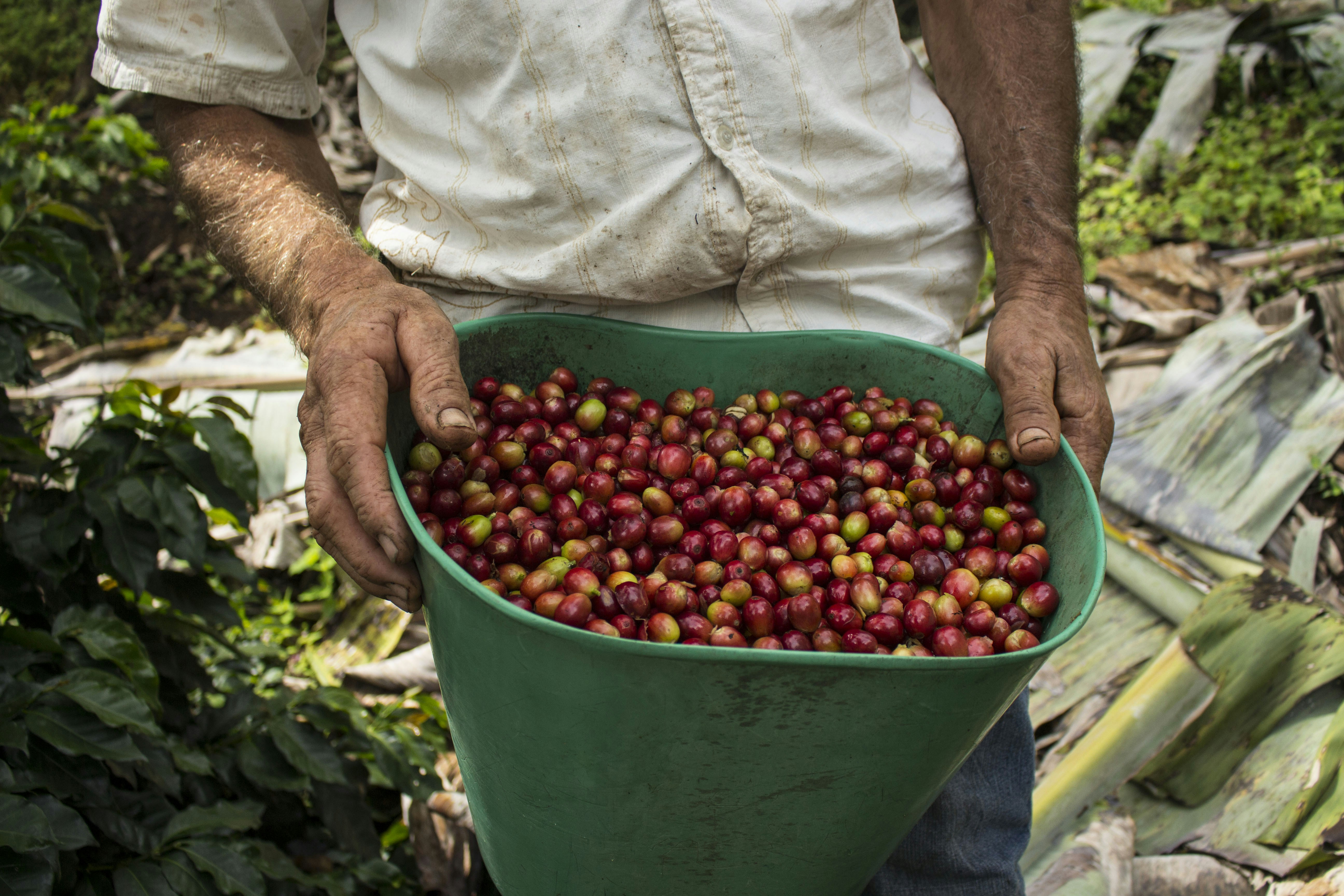 Photo by candesjaramillo