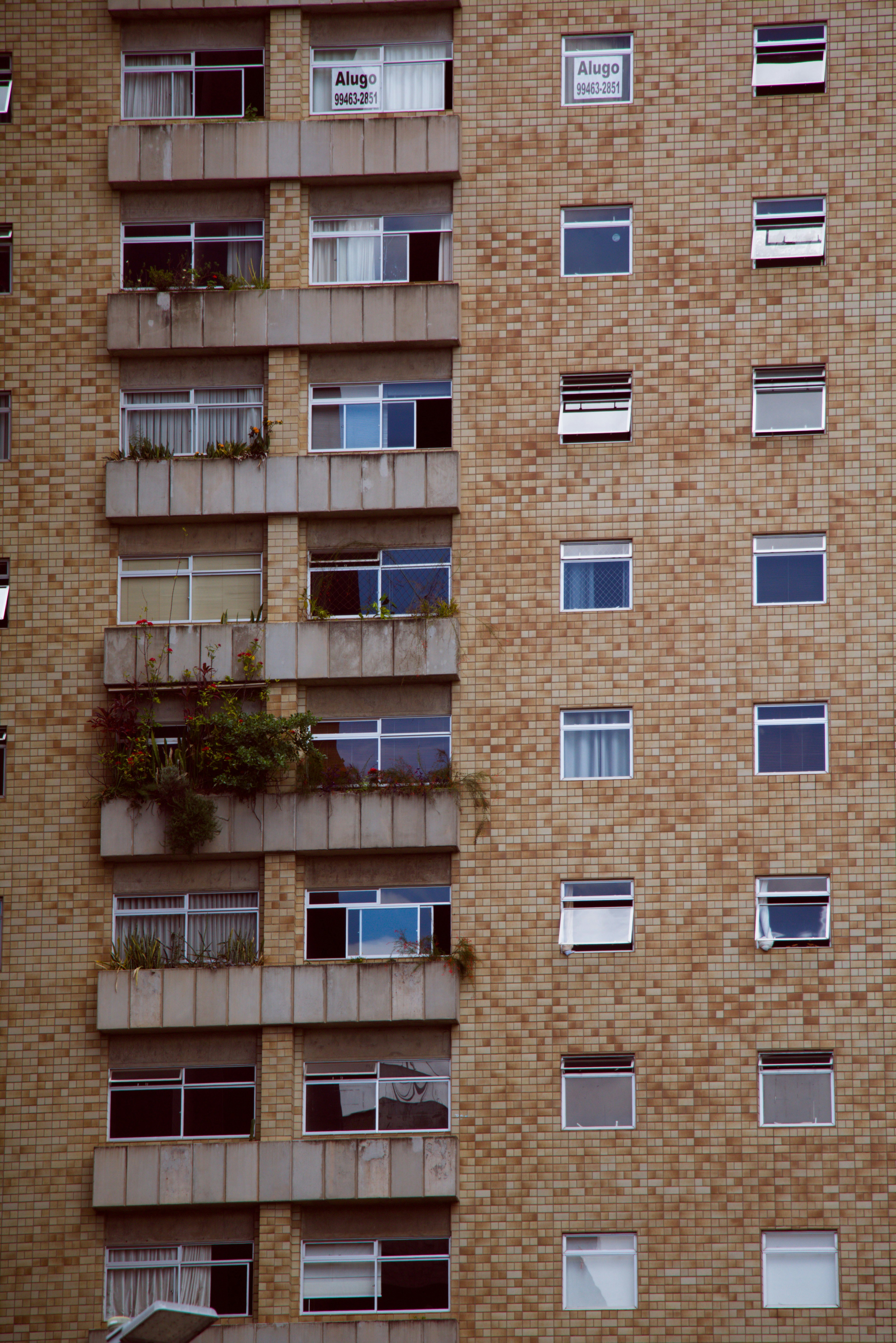 Photo by eversonvansoski